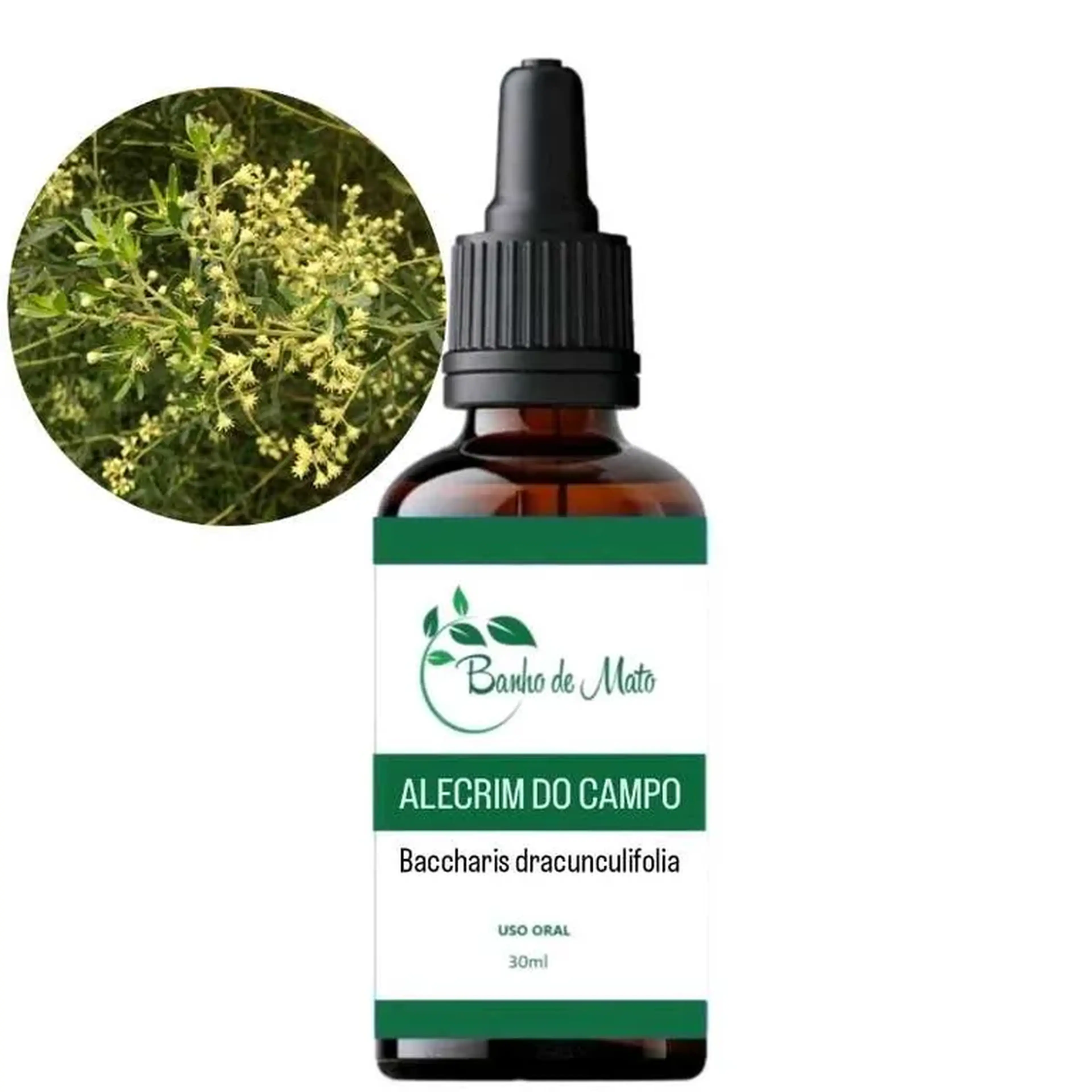 Extrato - ALECRIM DO CAMPO (Baccharis dracunculifolia) imagem