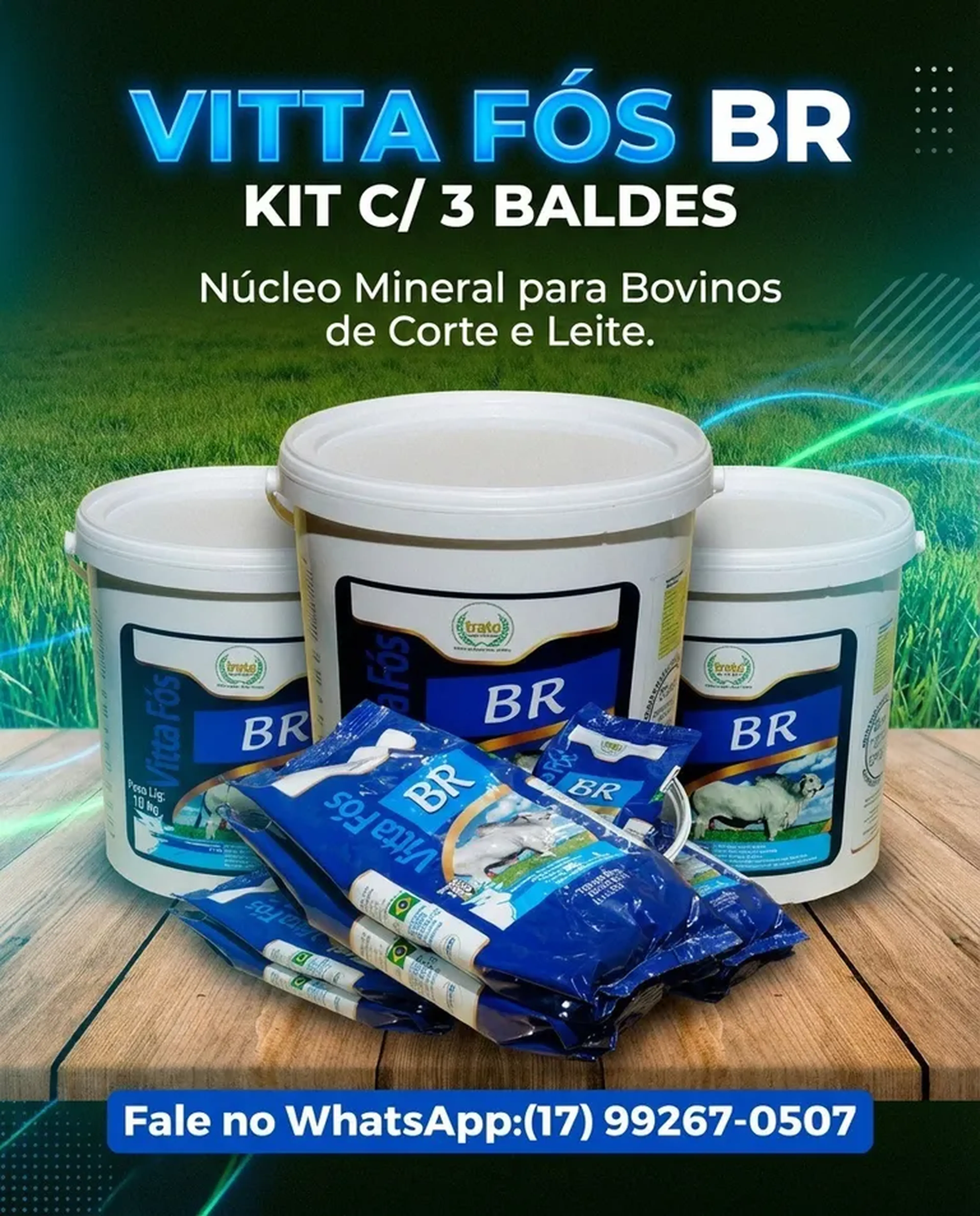 VITTA FÓS BR NÚCLEO PARA BOVINOS imagem