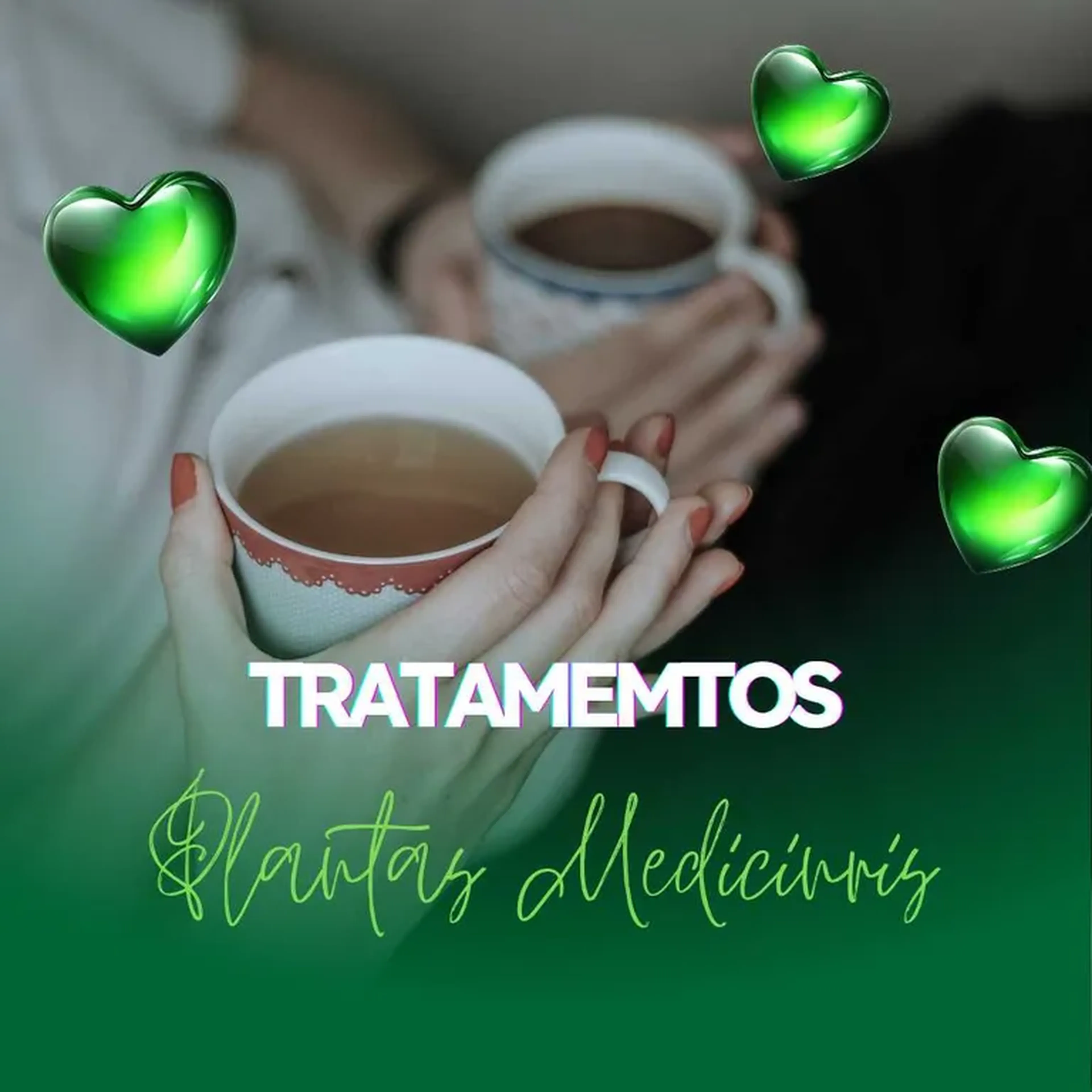 Adquira seu Tratamento Pelas Plantas Medicinais imagem