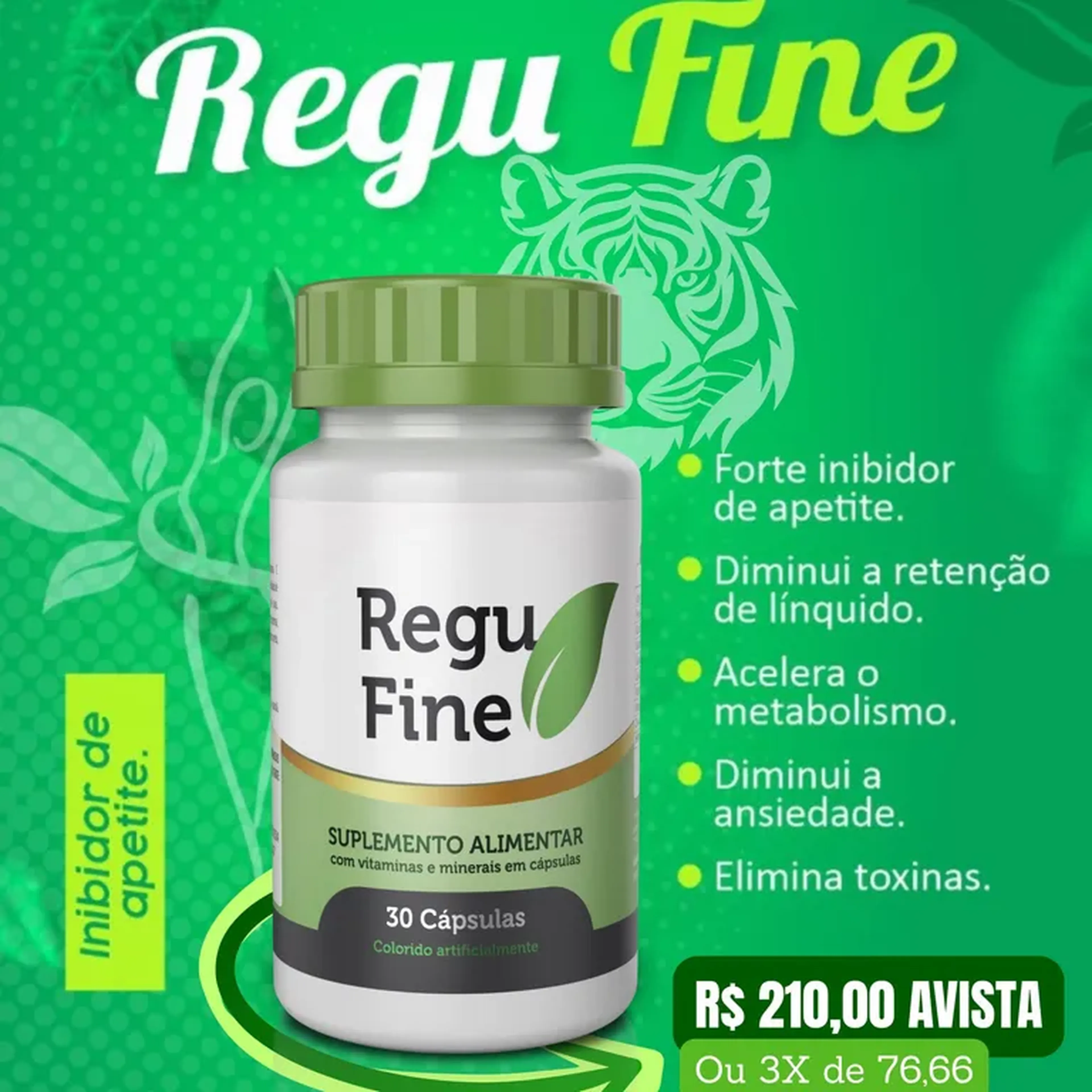 Regu Fine imagem