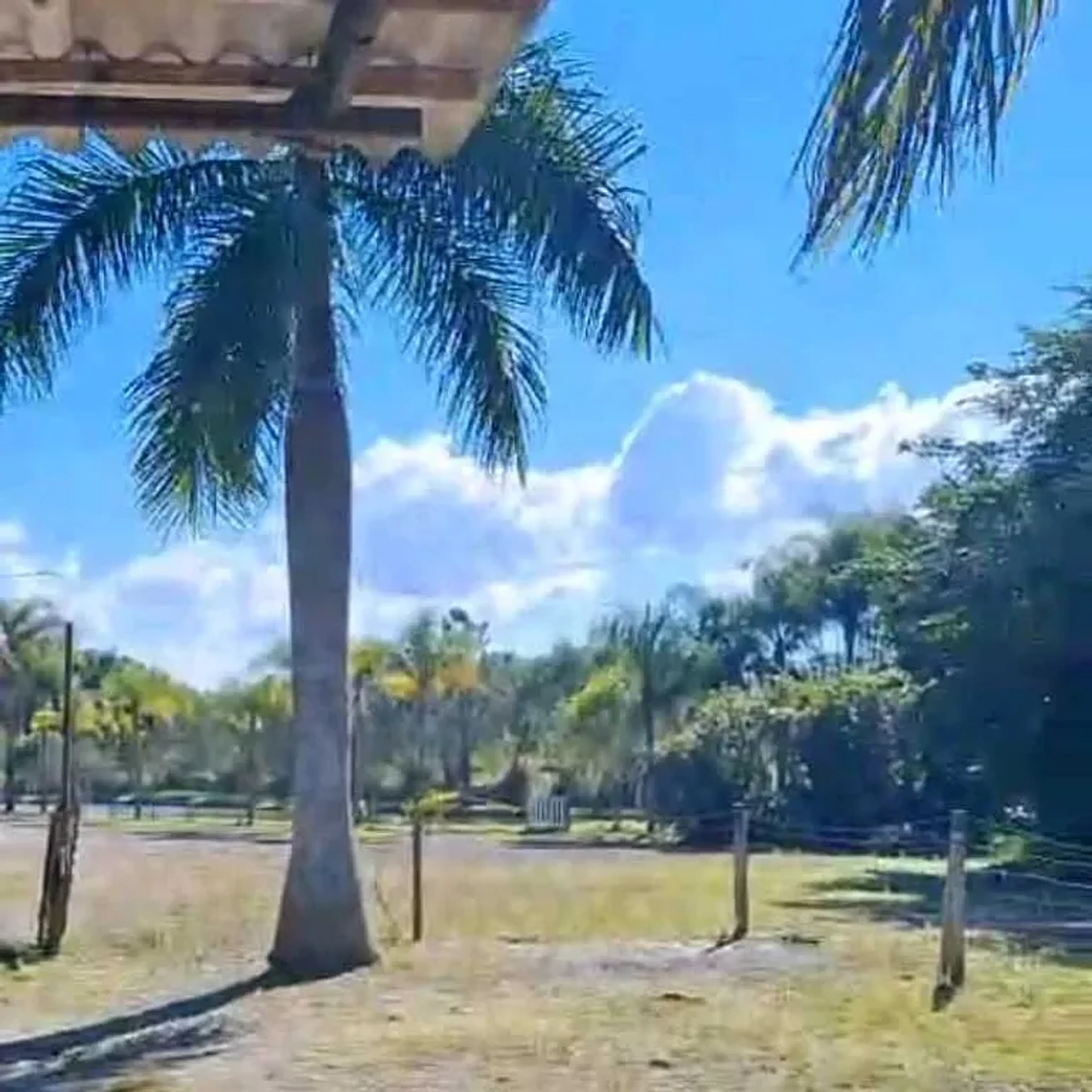 Encontro de irmãos apenas sábado. imagem