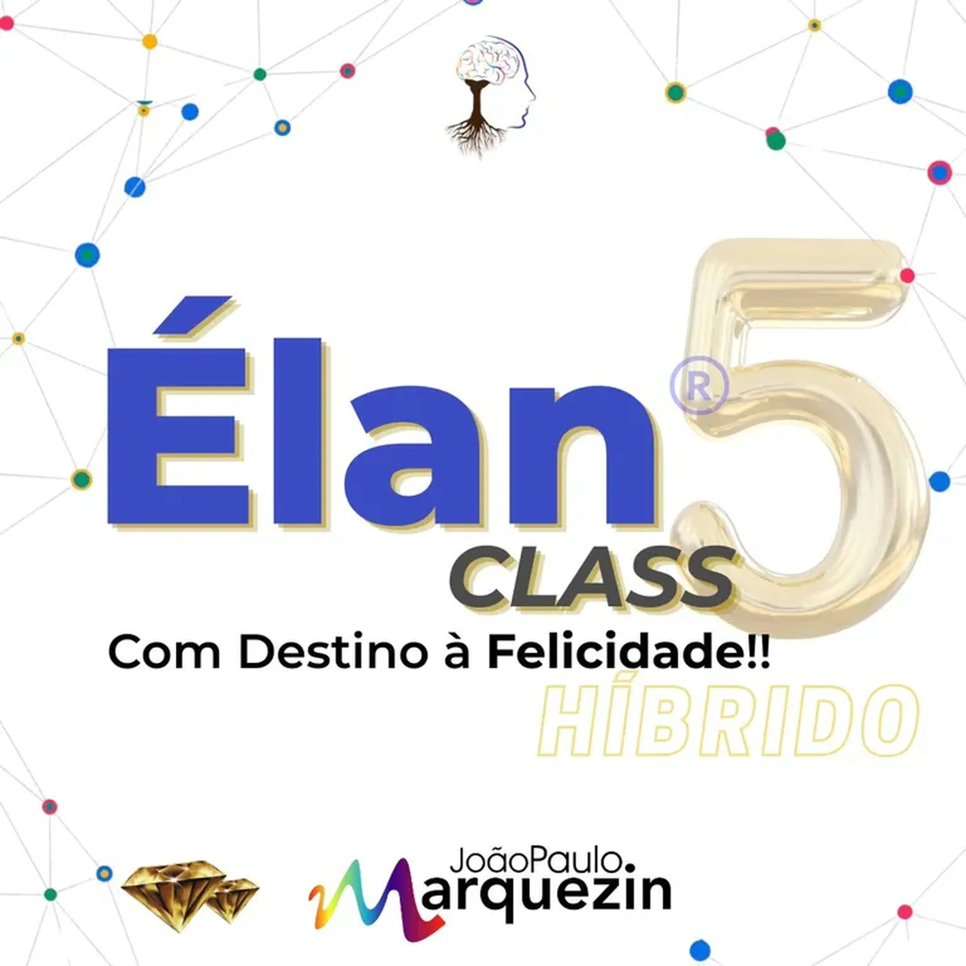 Élan Class T5. imagem