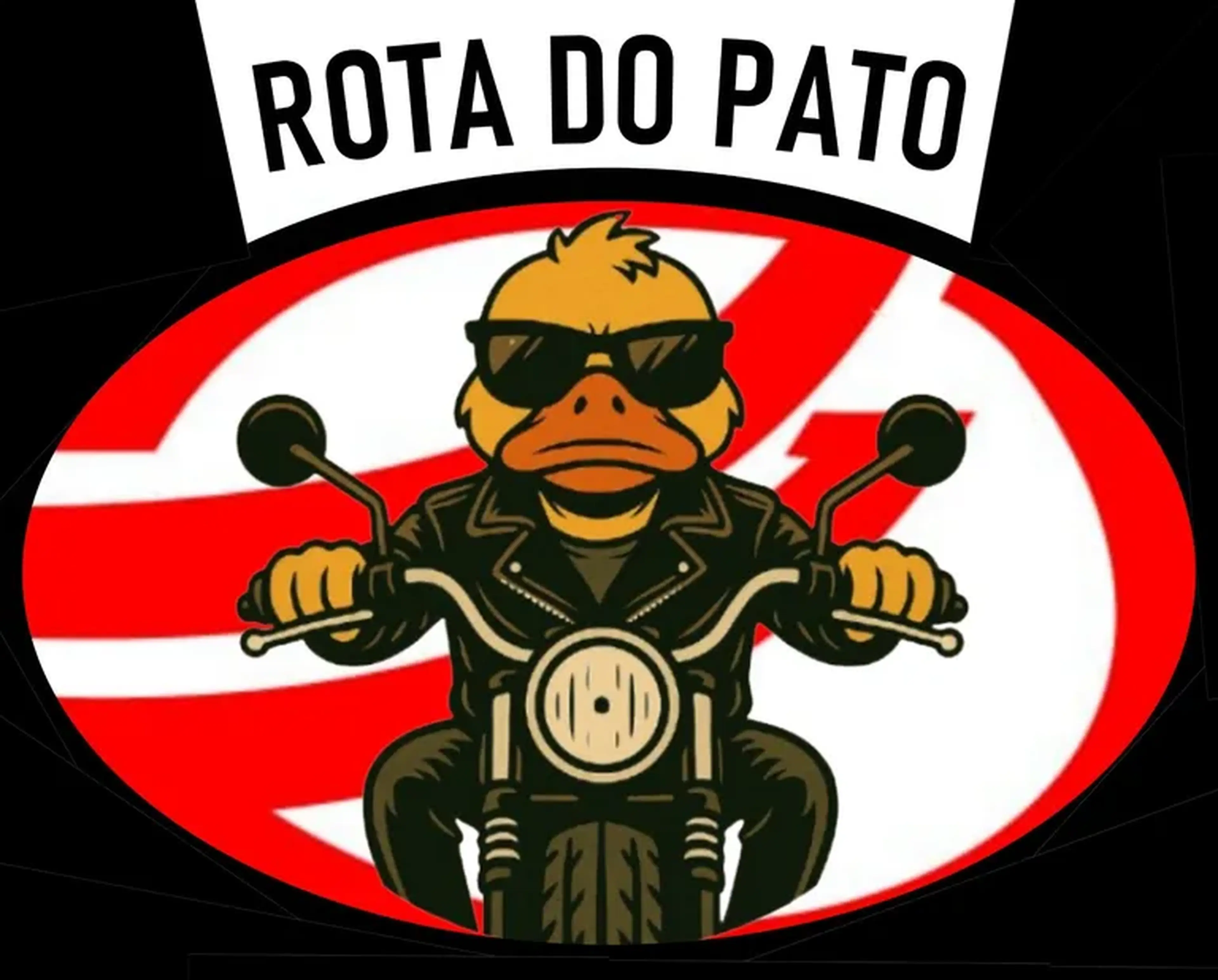 ROTA DO PATO PILOTO imagem