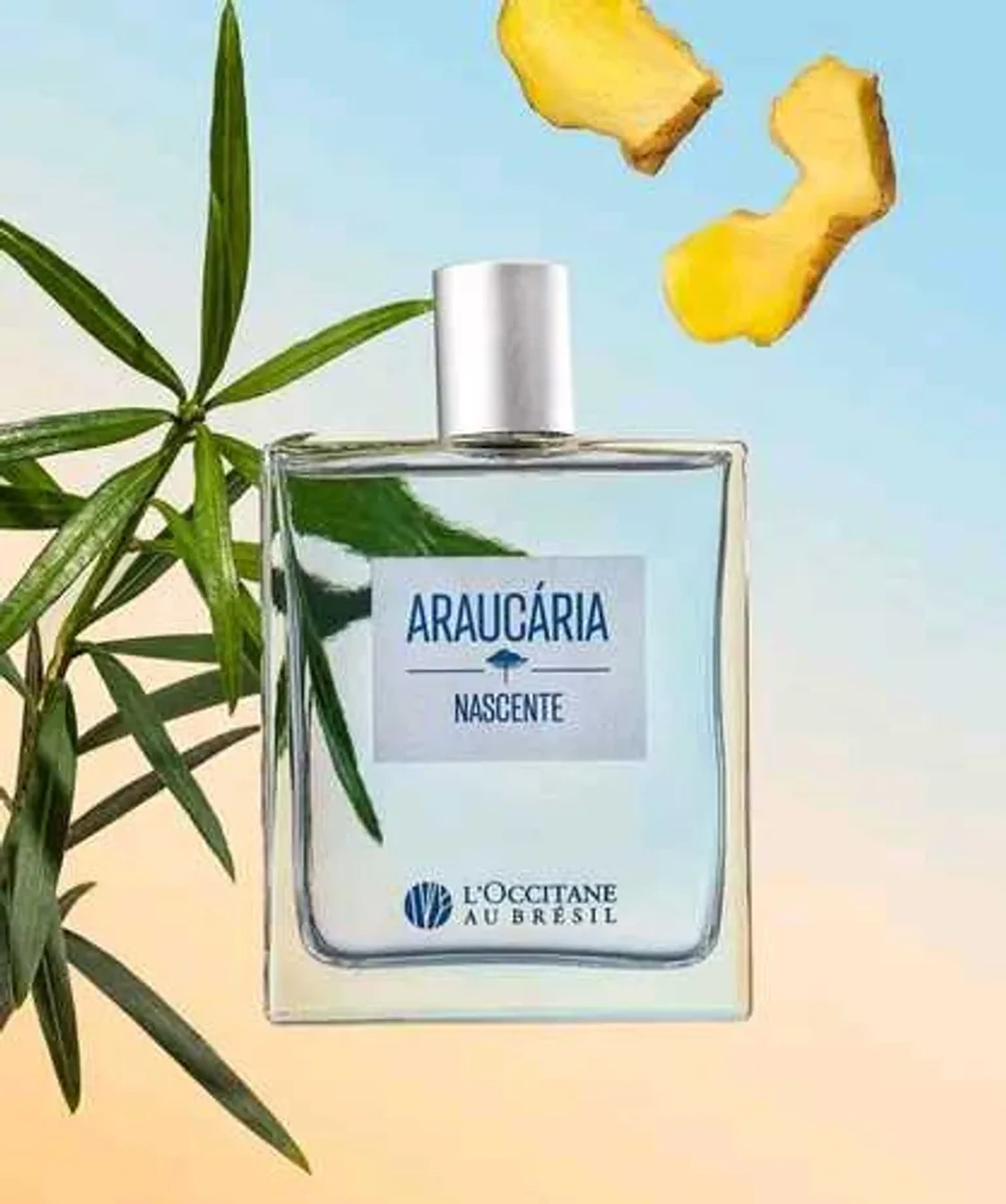 Deo Colônia Araucária Nascente imagem