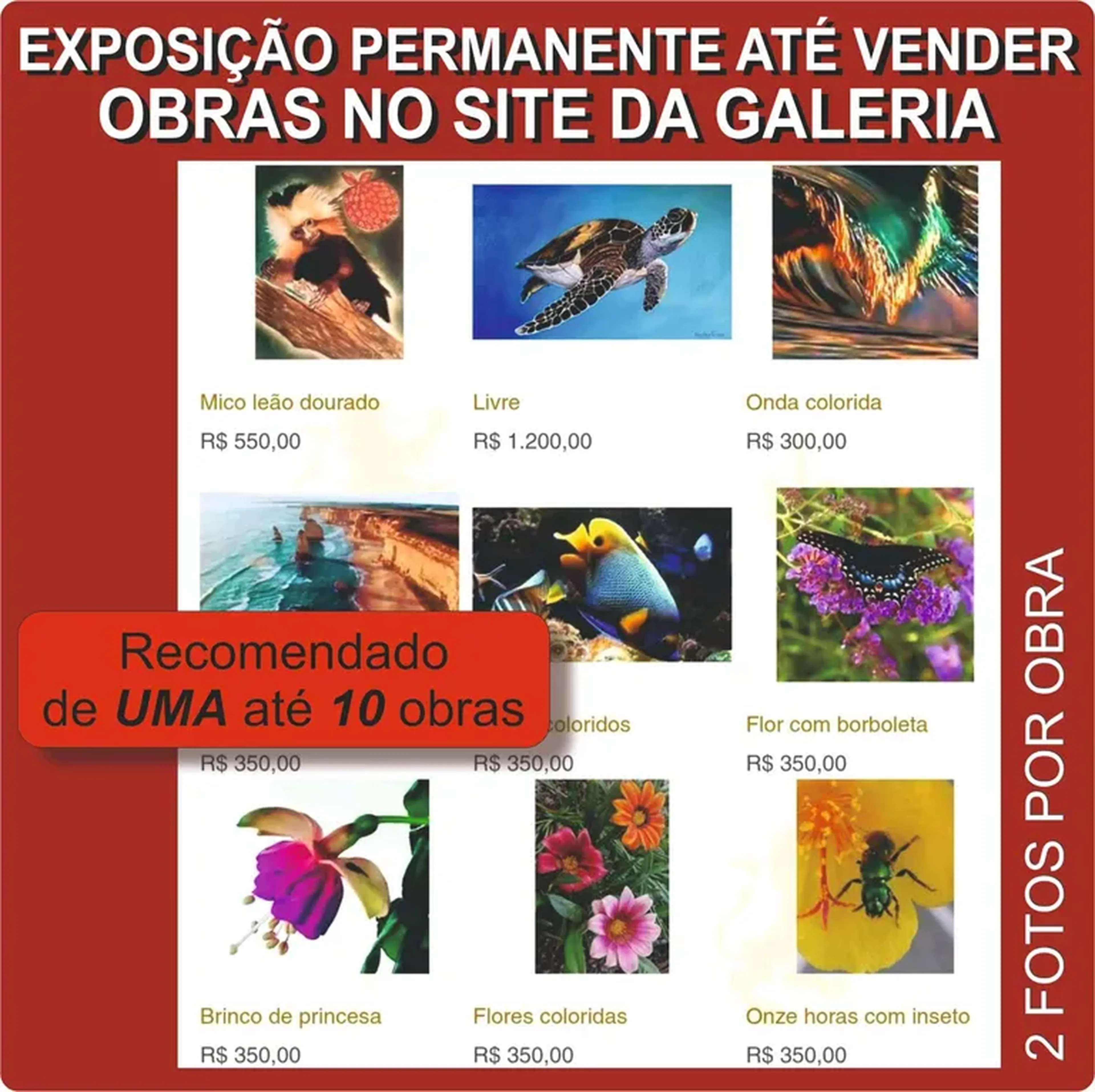 Exposição no Site da Galeria imagem