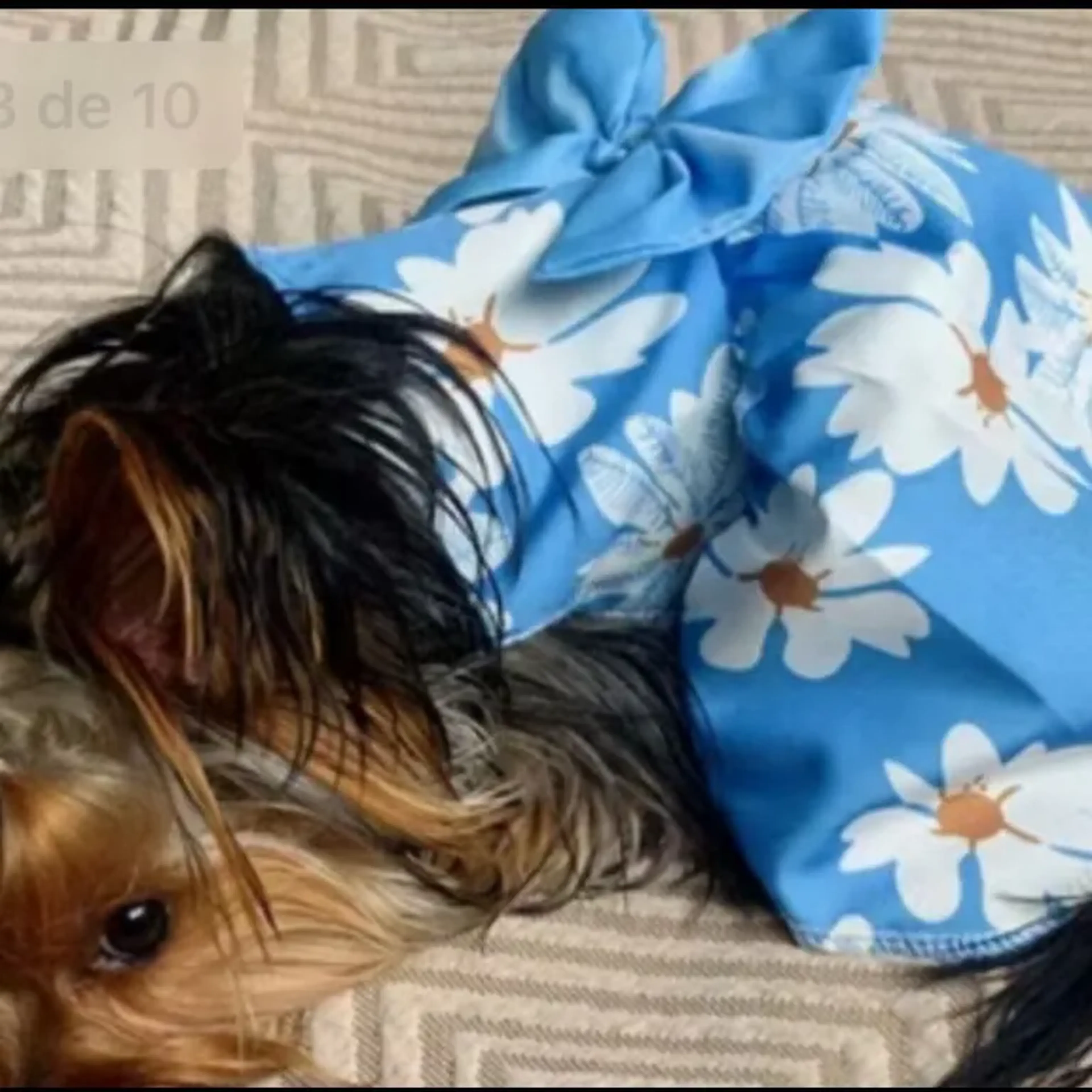 Vestidinho Floral Azul imagem