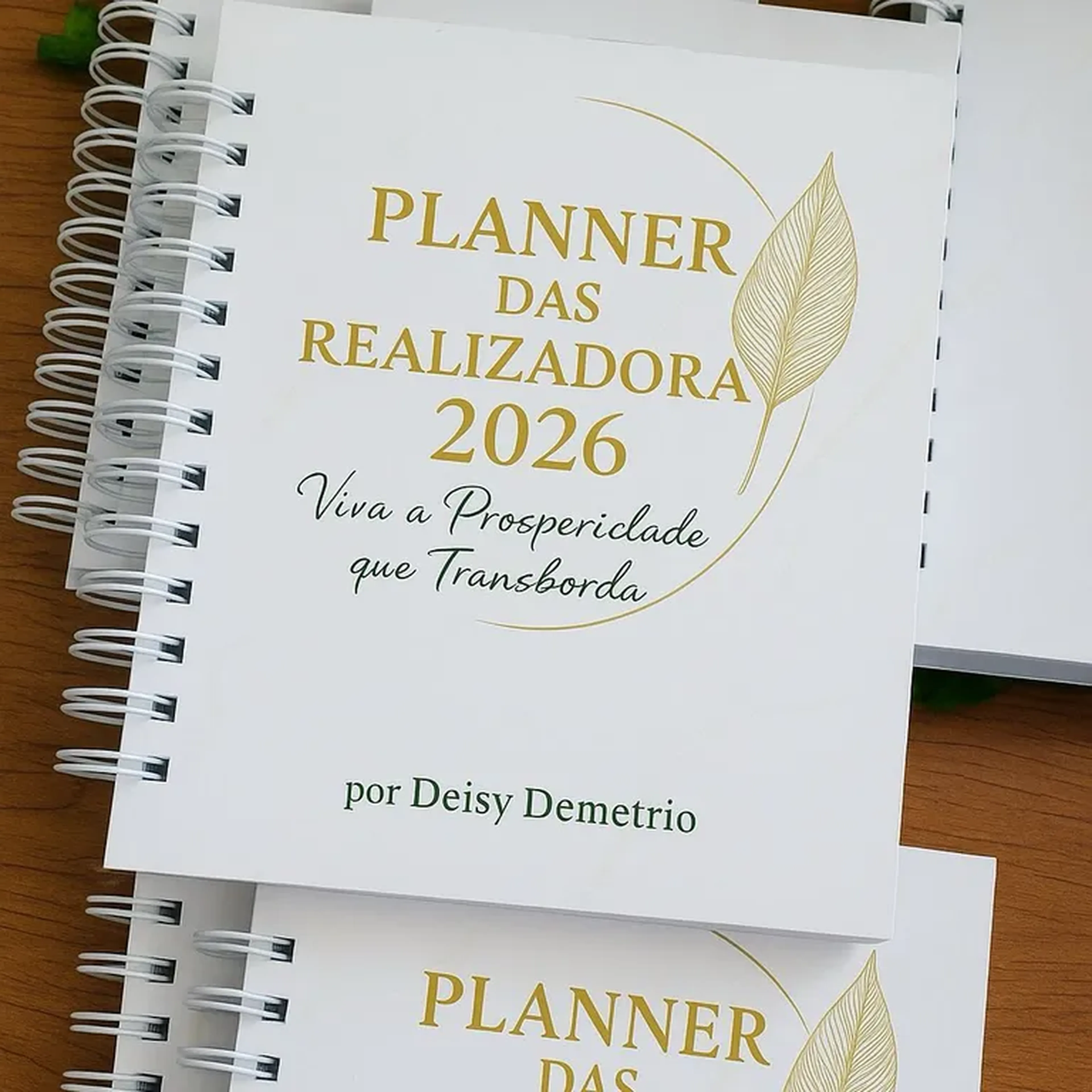 PLANNER FINANCEIRO 2026 imagem