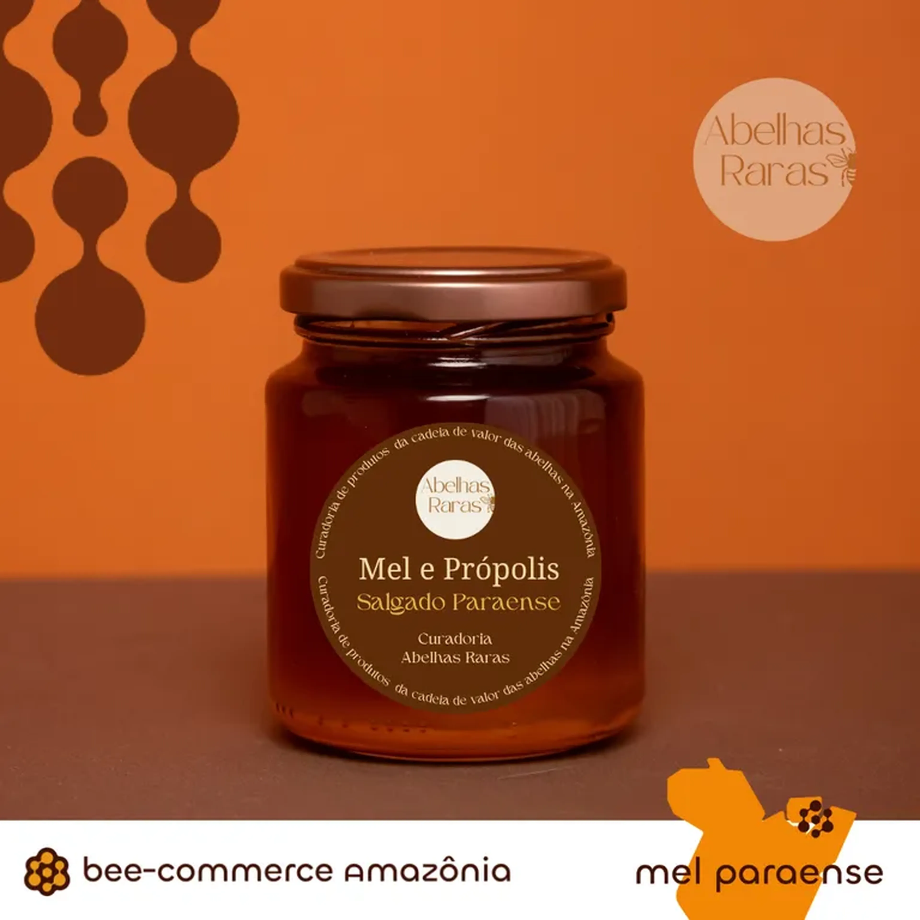 Mel e própolis do Salgado Paraense [Abelhas Raras] - 240 ml imagem