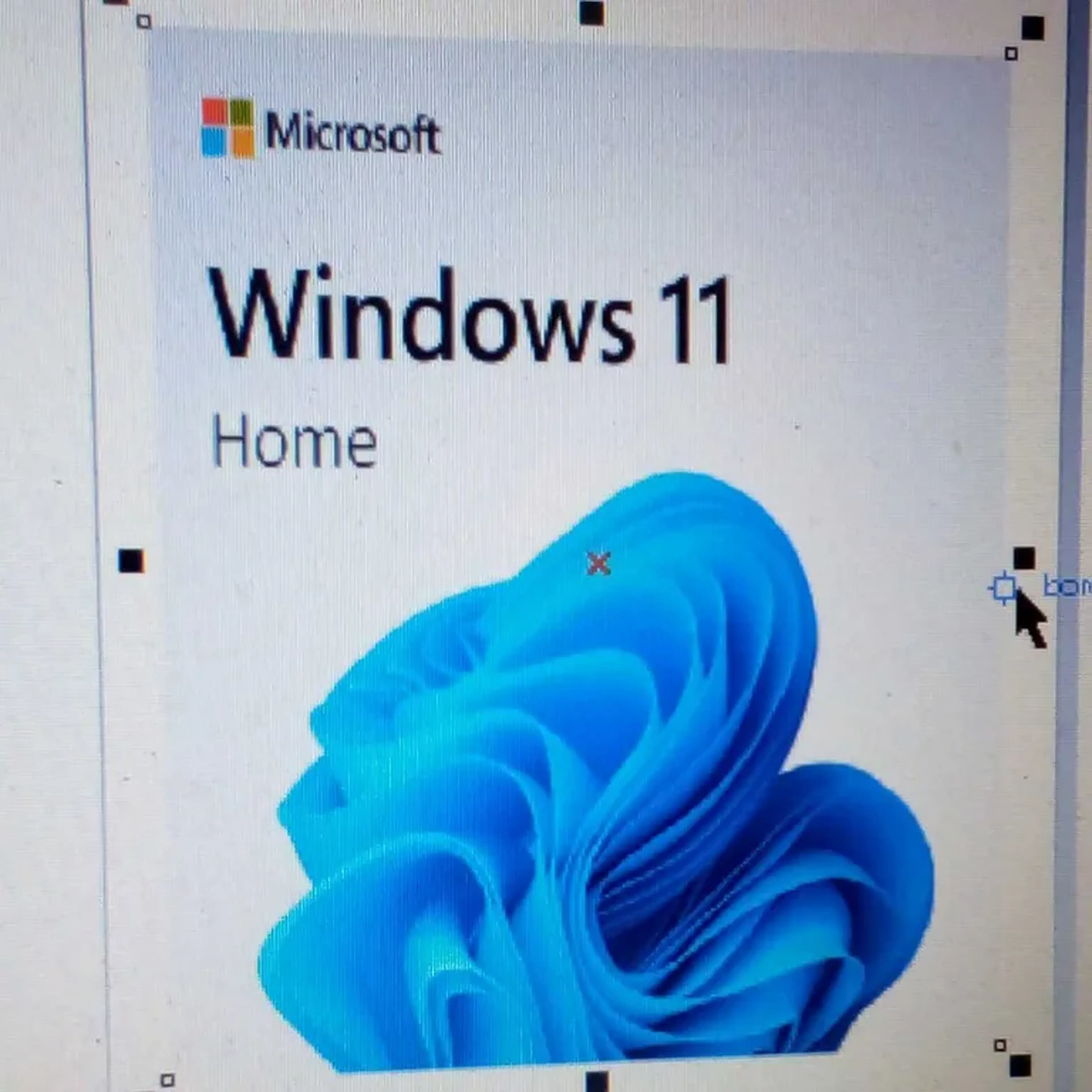 licenca windows 11 home imagem
