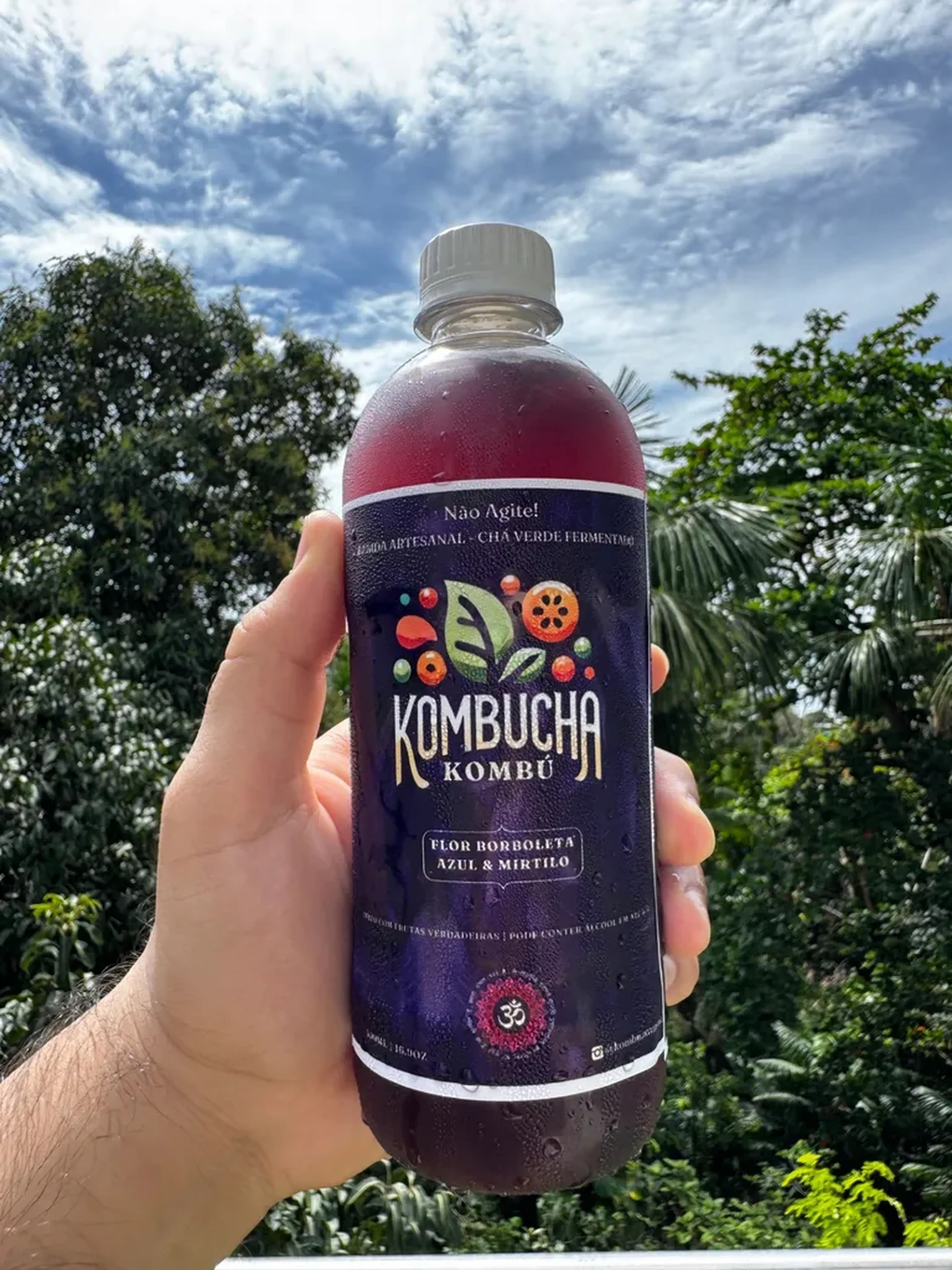 Kombucha de Blueberry e Flor Fada Azul 500ml imagem