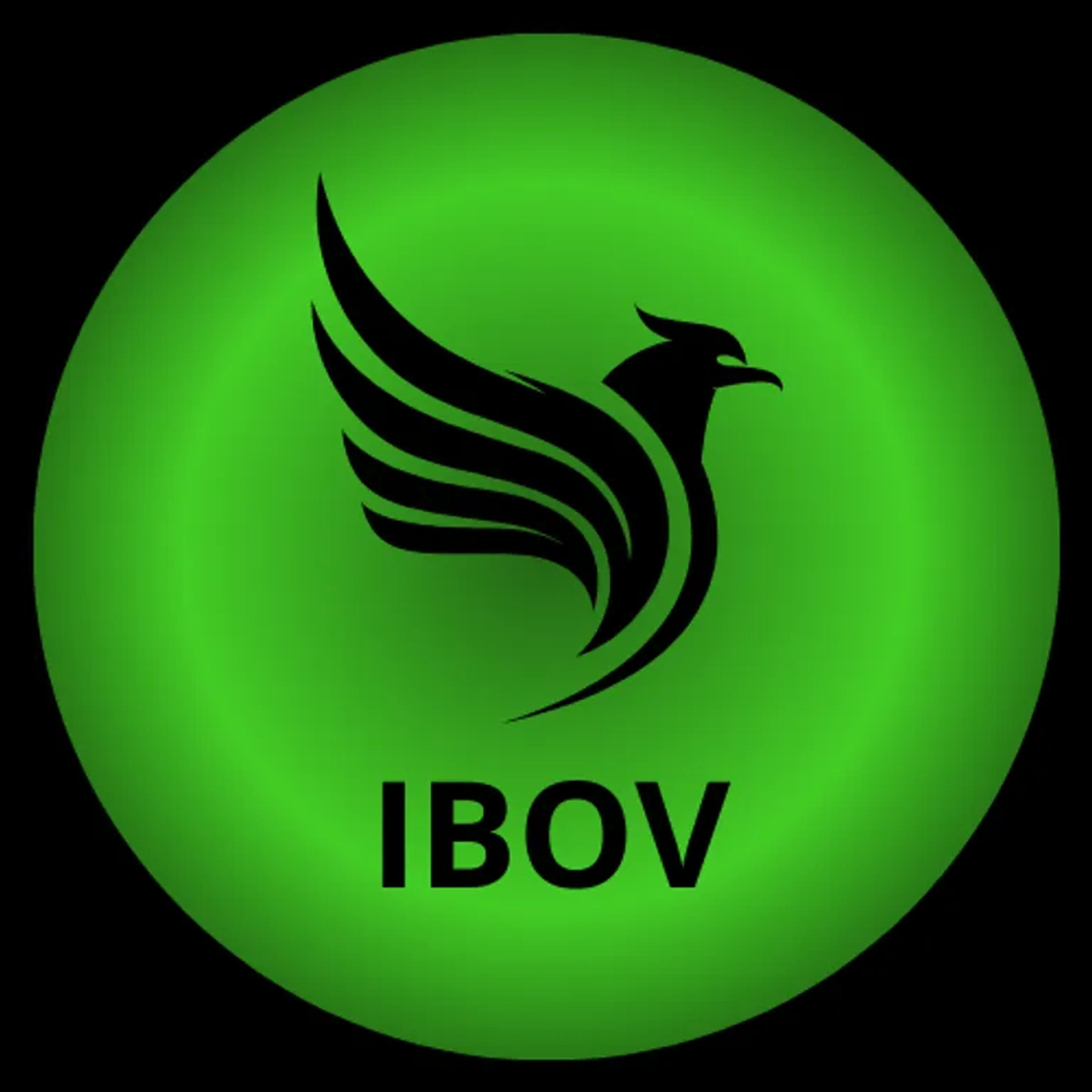 carteira IBOV imagem