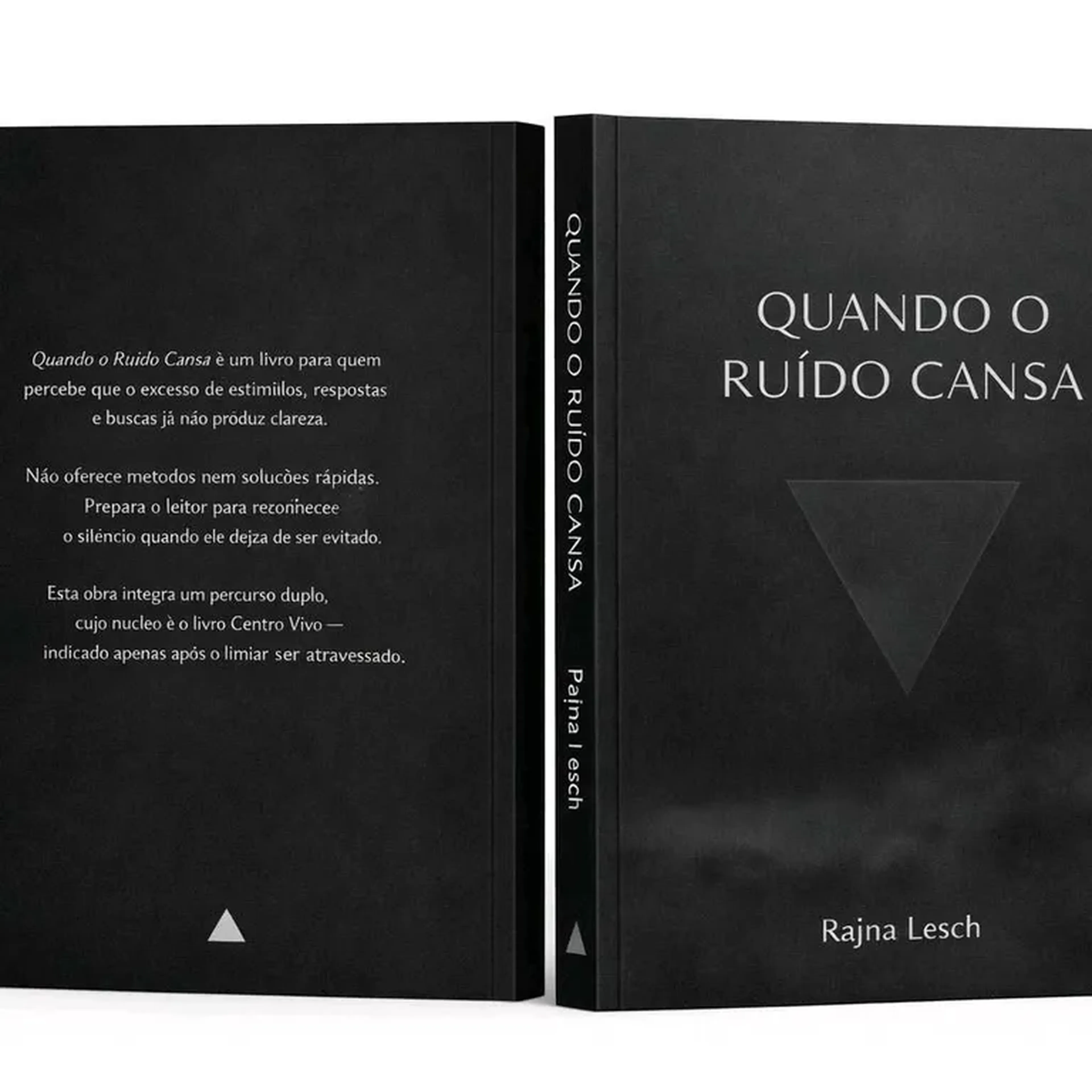 QUANDO O RUIDO CANSA (PDF) imagem