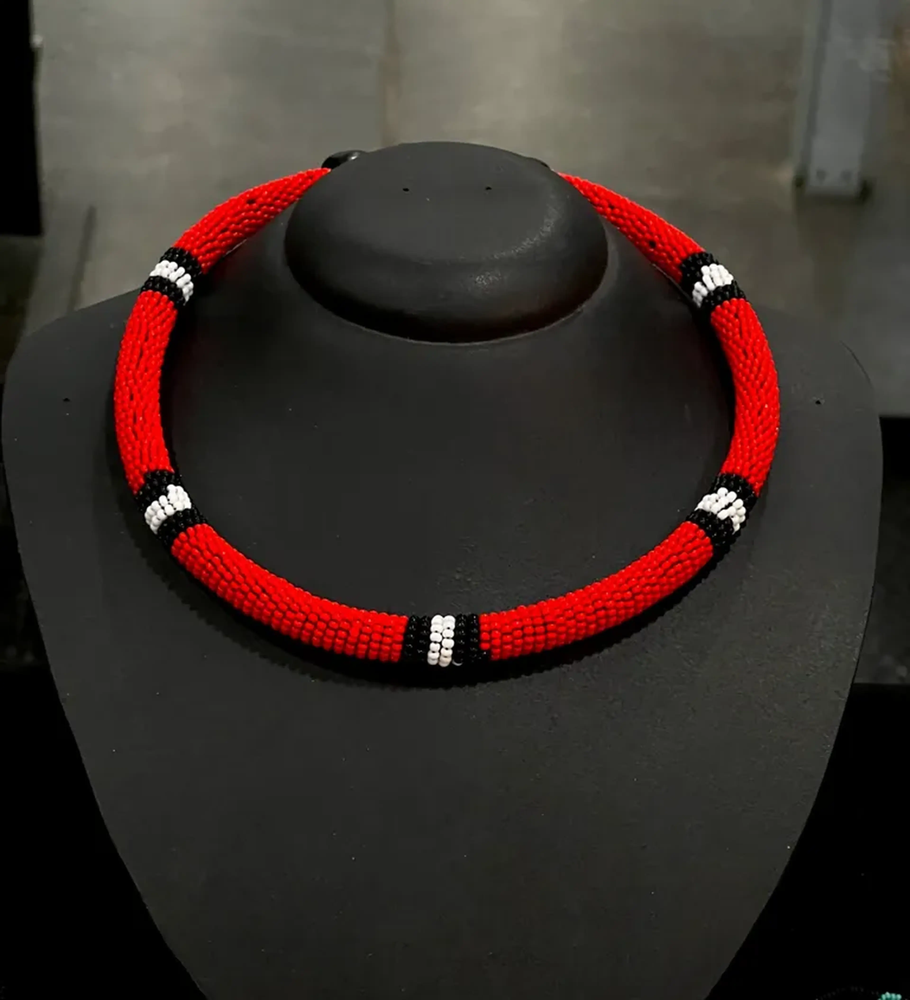 Colar cobra coral. imagem