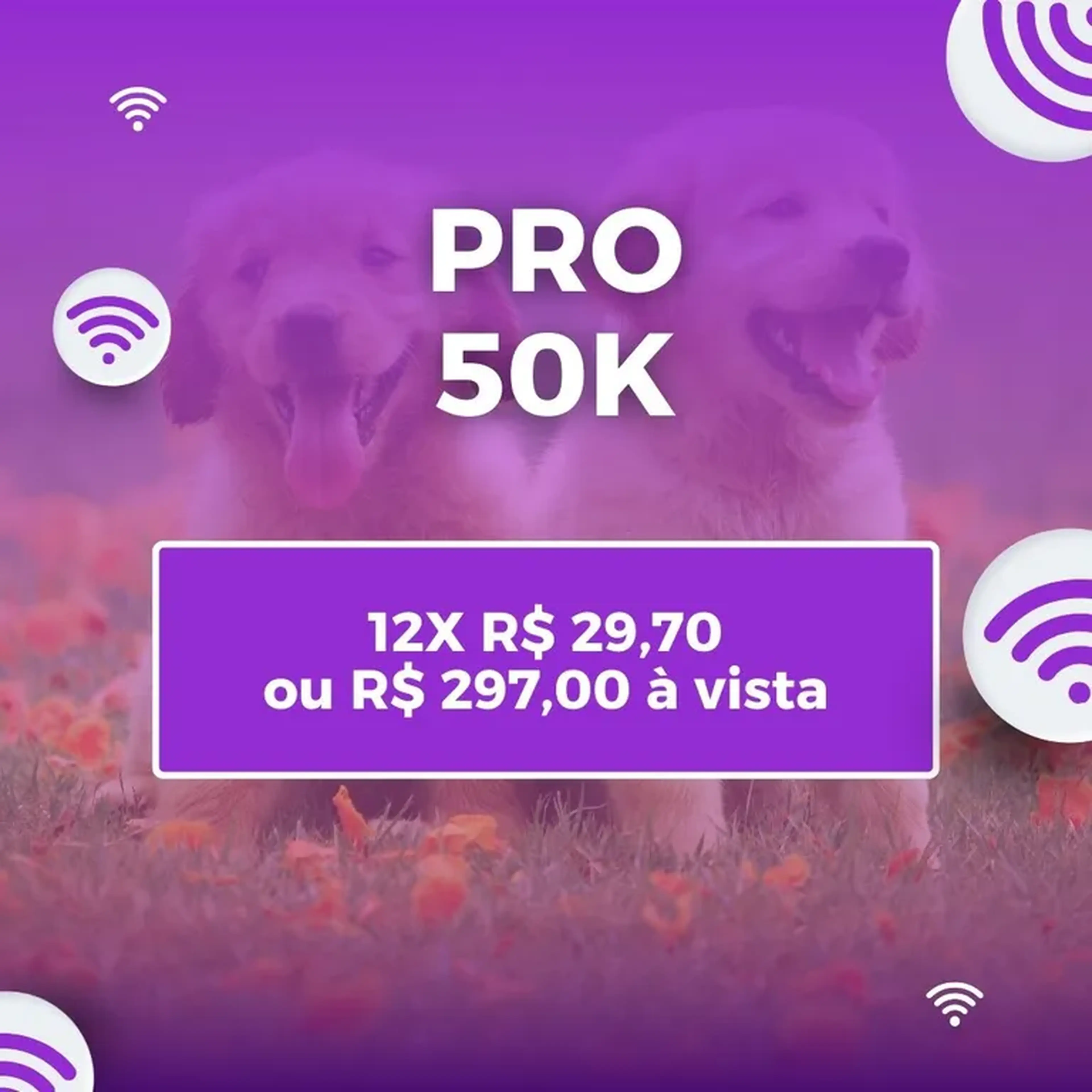 Pro 50K imagem