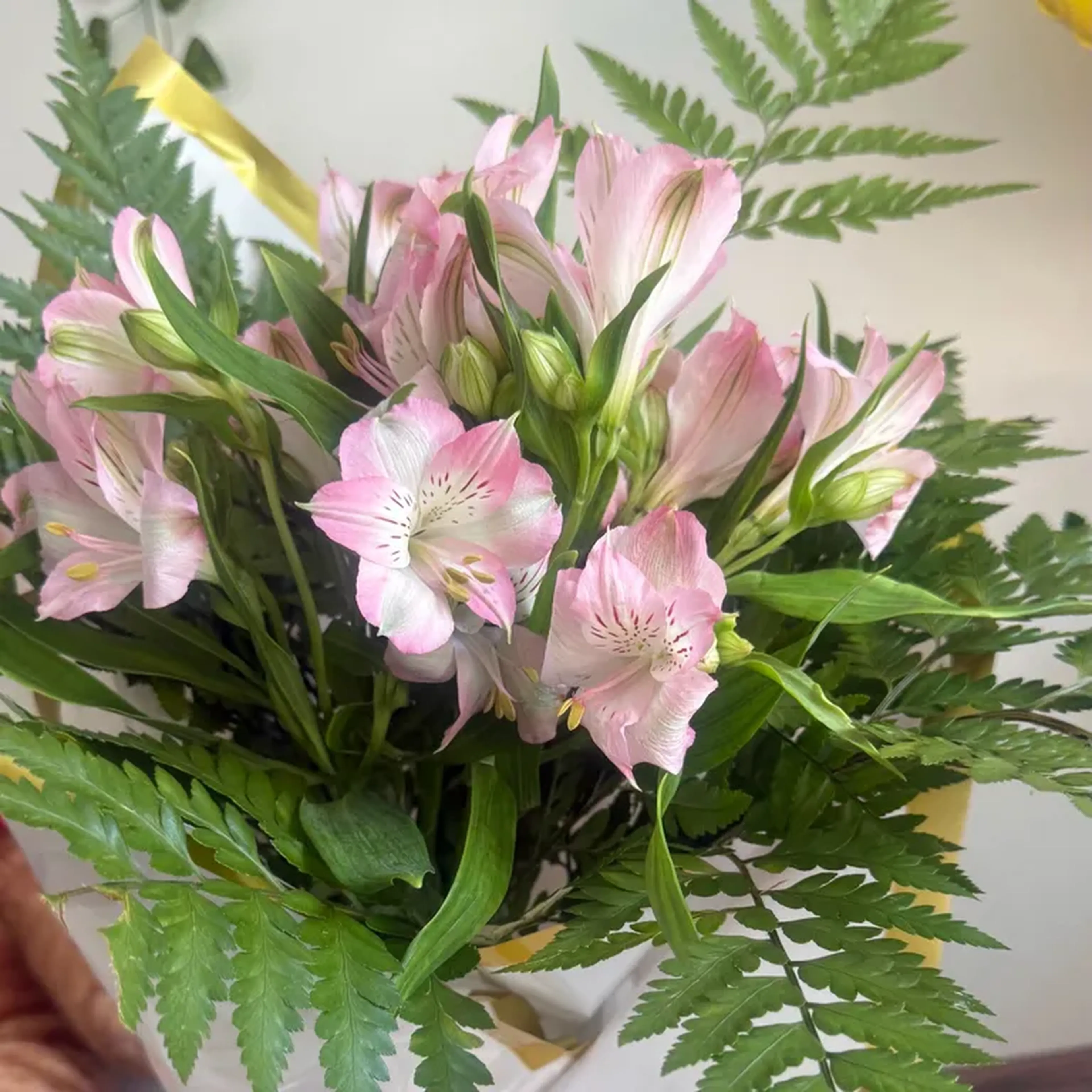 Buquê de Astromelia Natural imagem