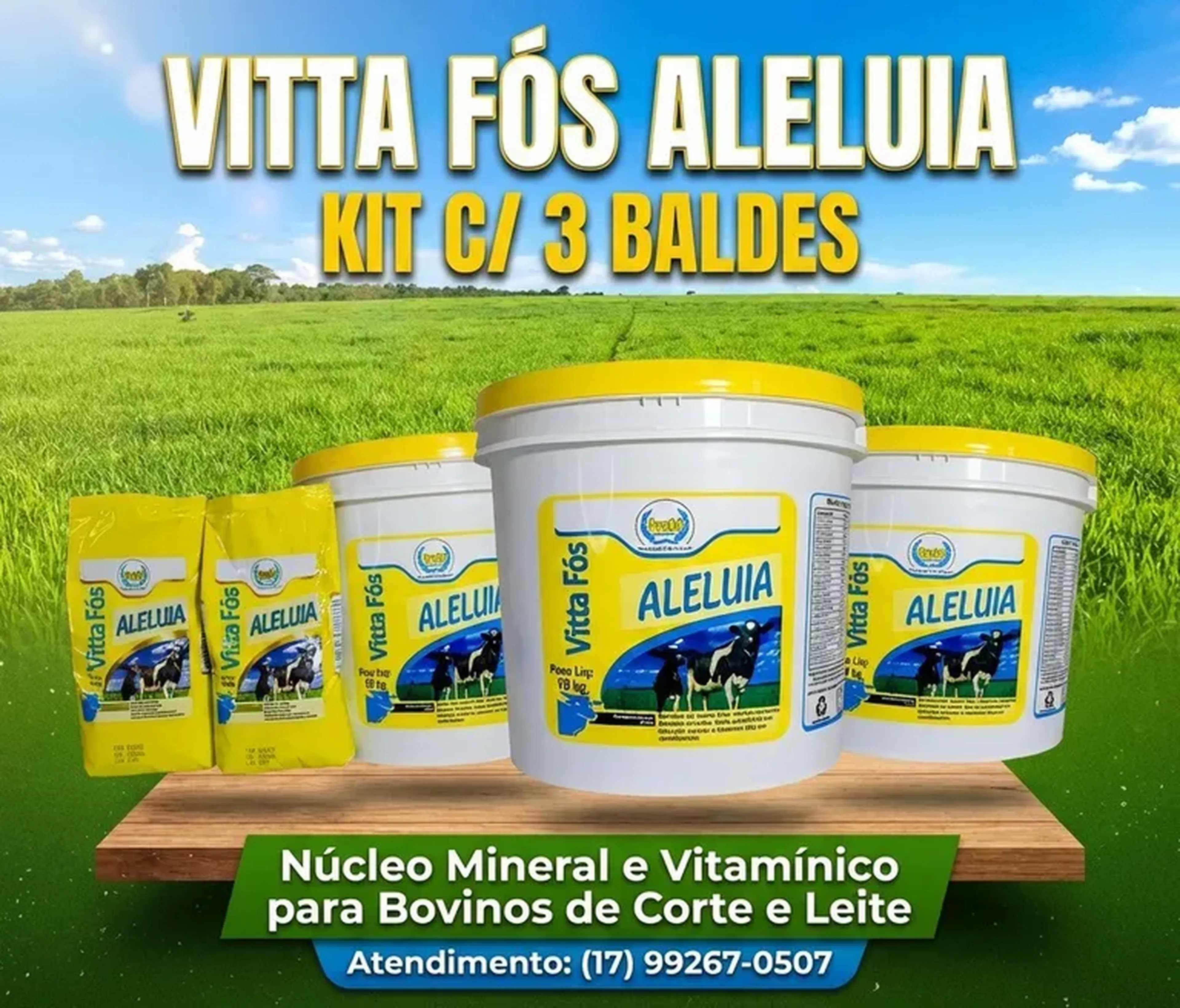 VITTA FÓS ALELUIA NÚCLEO PARA BOVINOS imagem