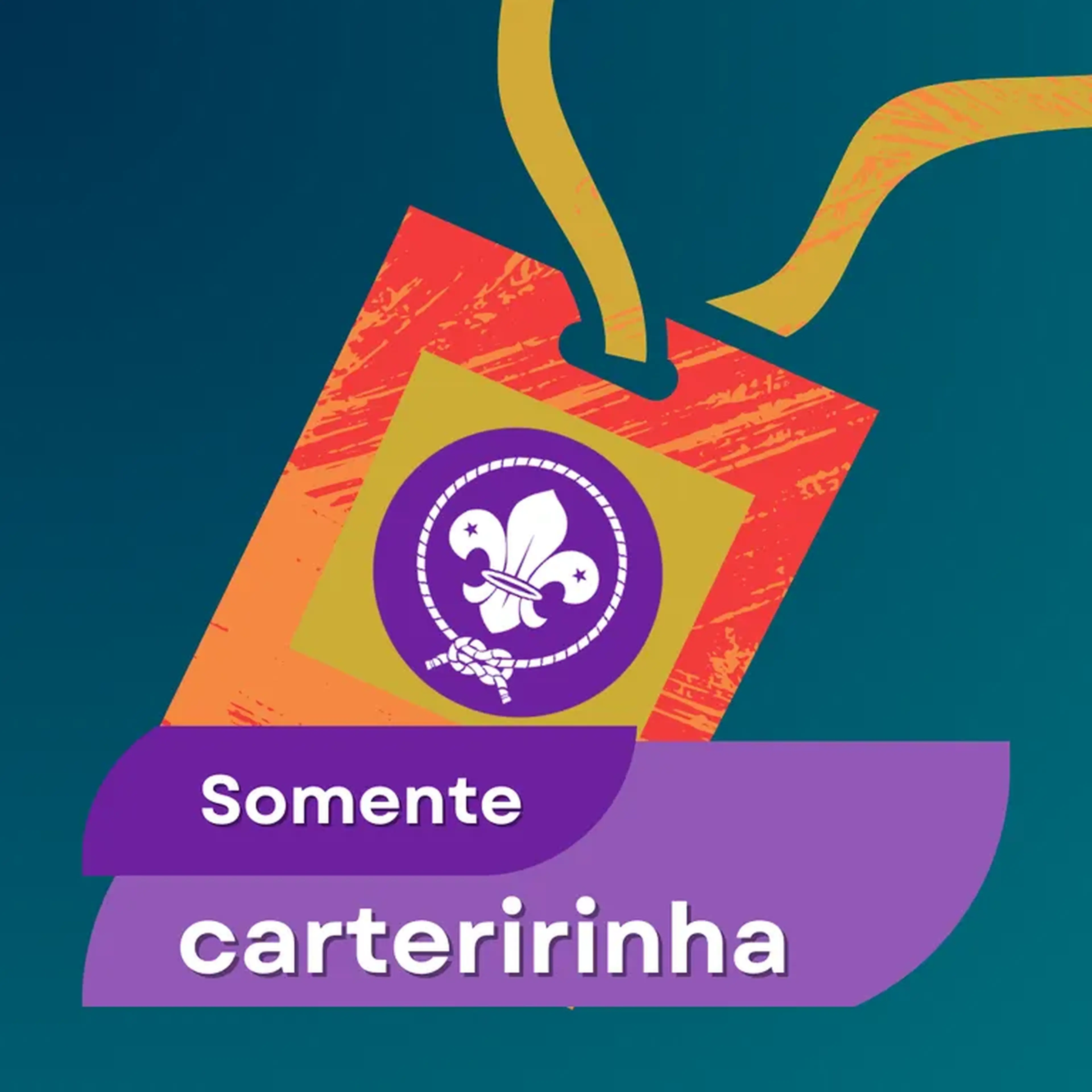 Somente Carterinha imagem