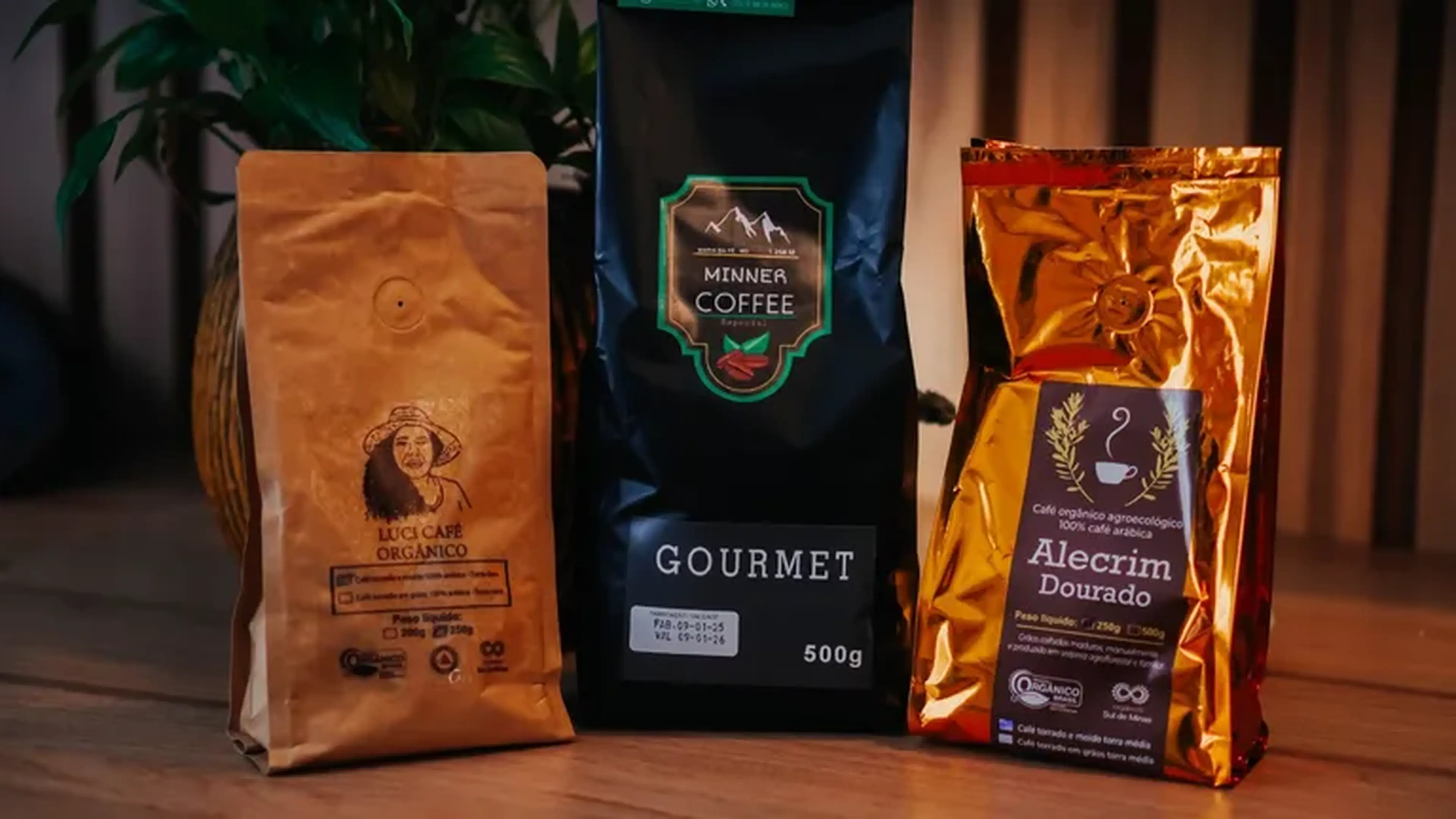 Kit Cafés imagem