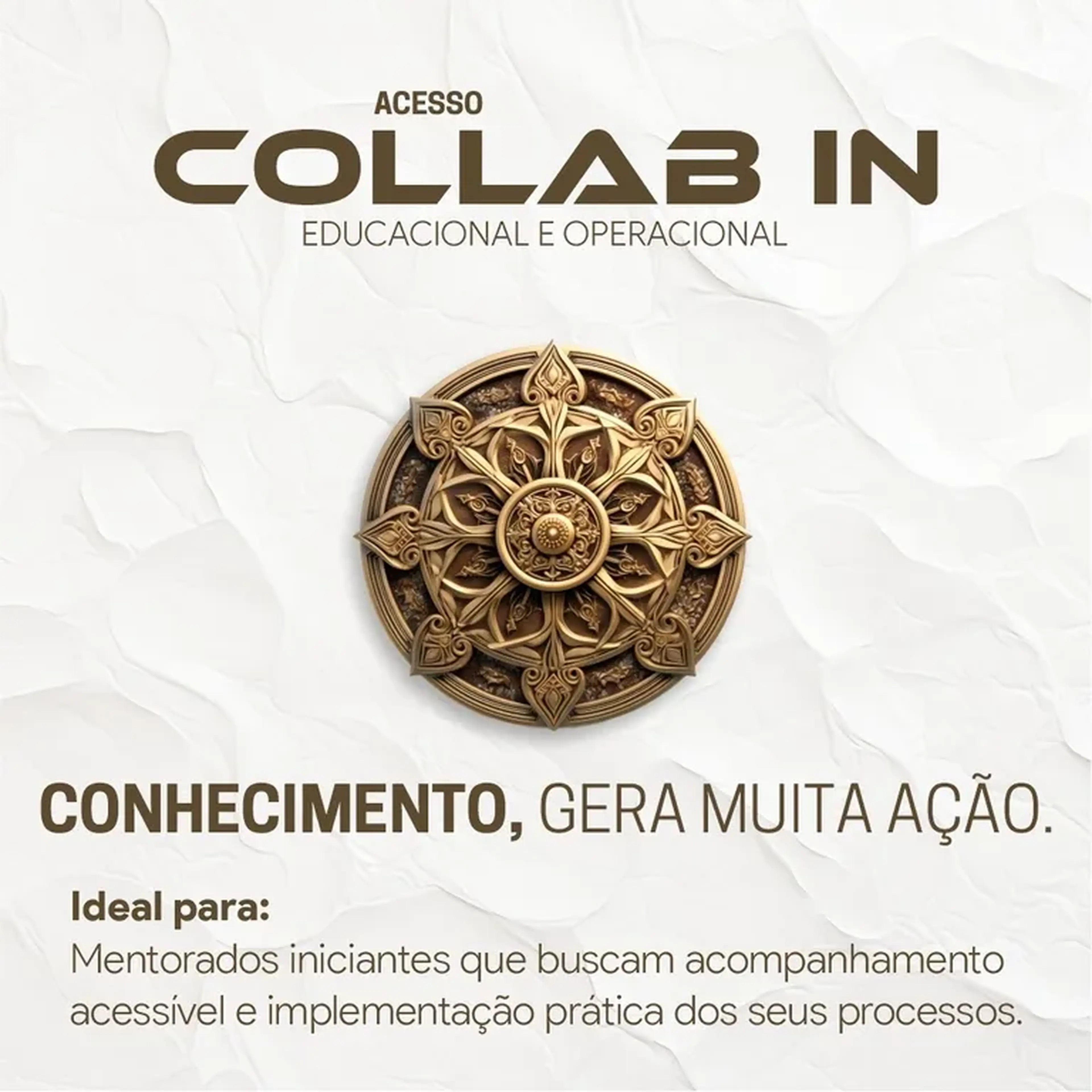 Acesso Collab In - Plano Trimestral imagem