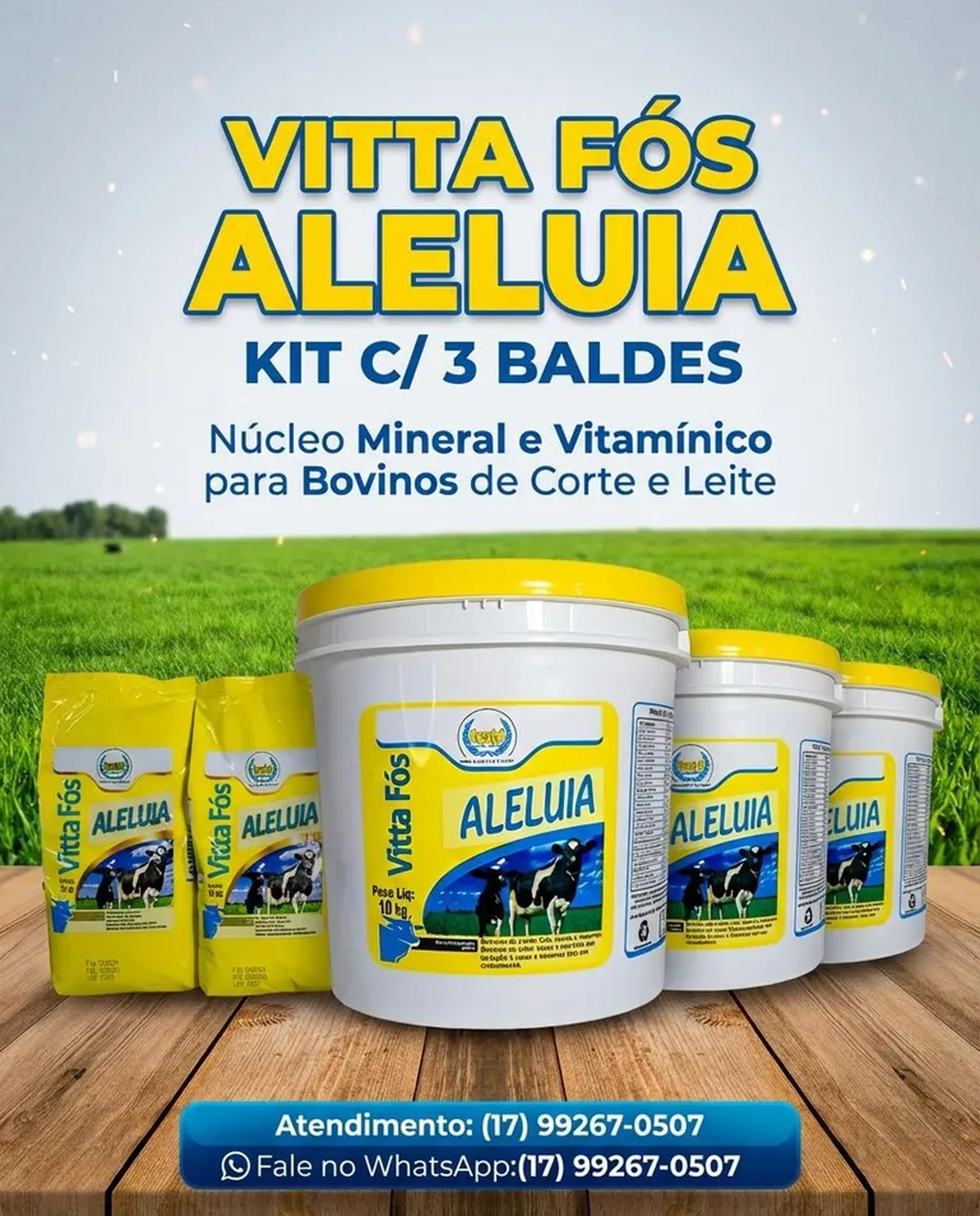 VITTA FÓS ALELUIA - KIT C 3 BALDES imagem