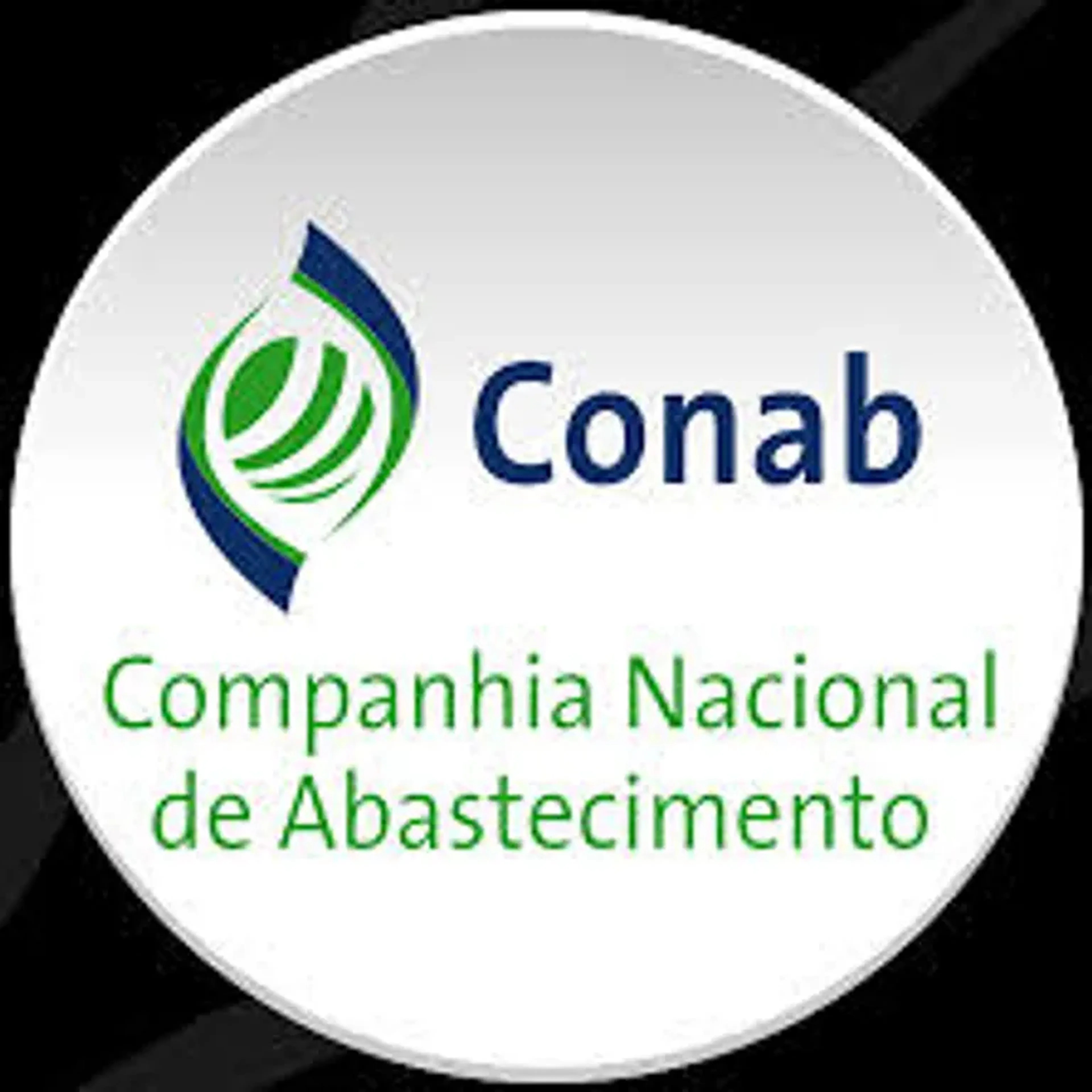 Recursos CONAB - Discursiva na Prática imagem