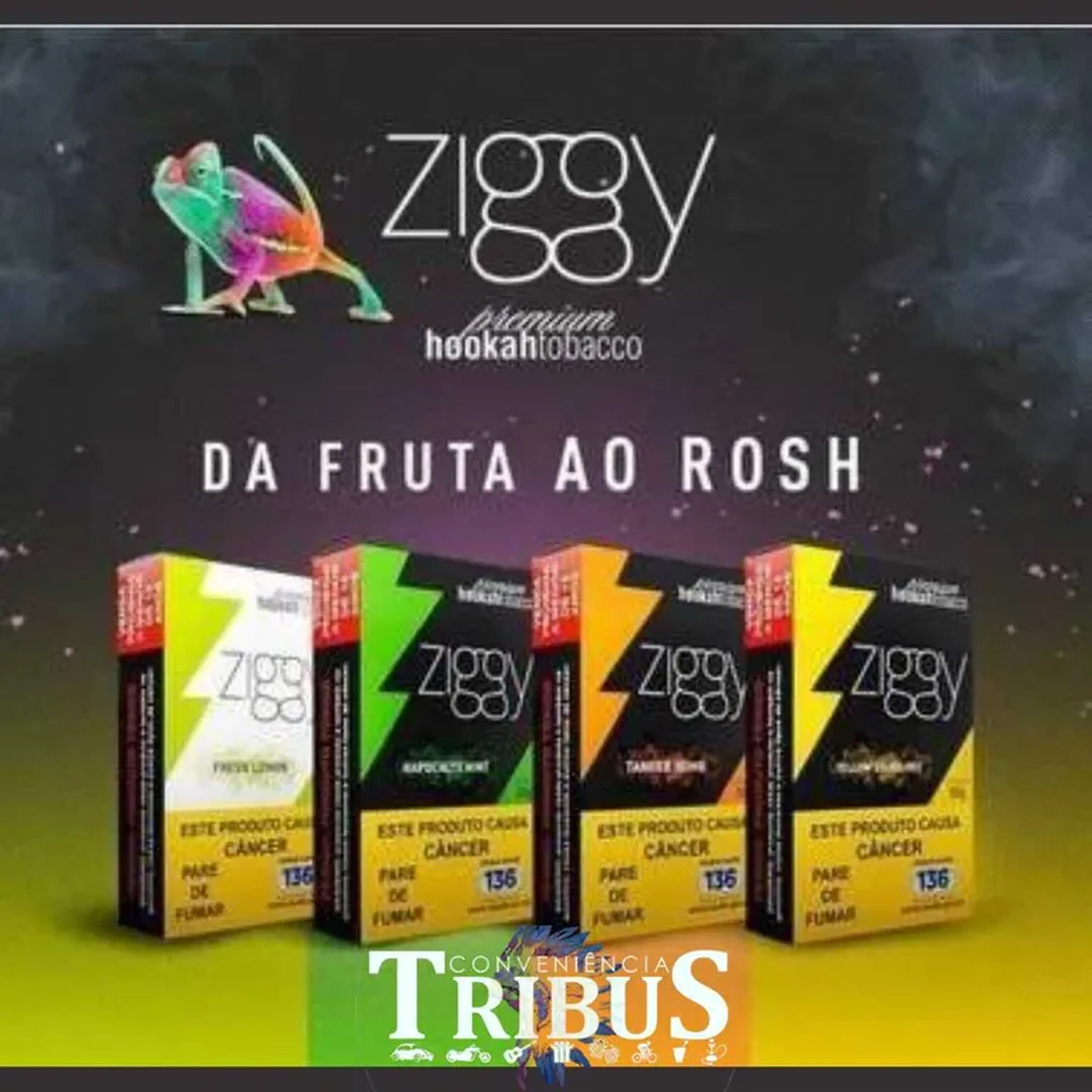 Essencias Ziggy imagem