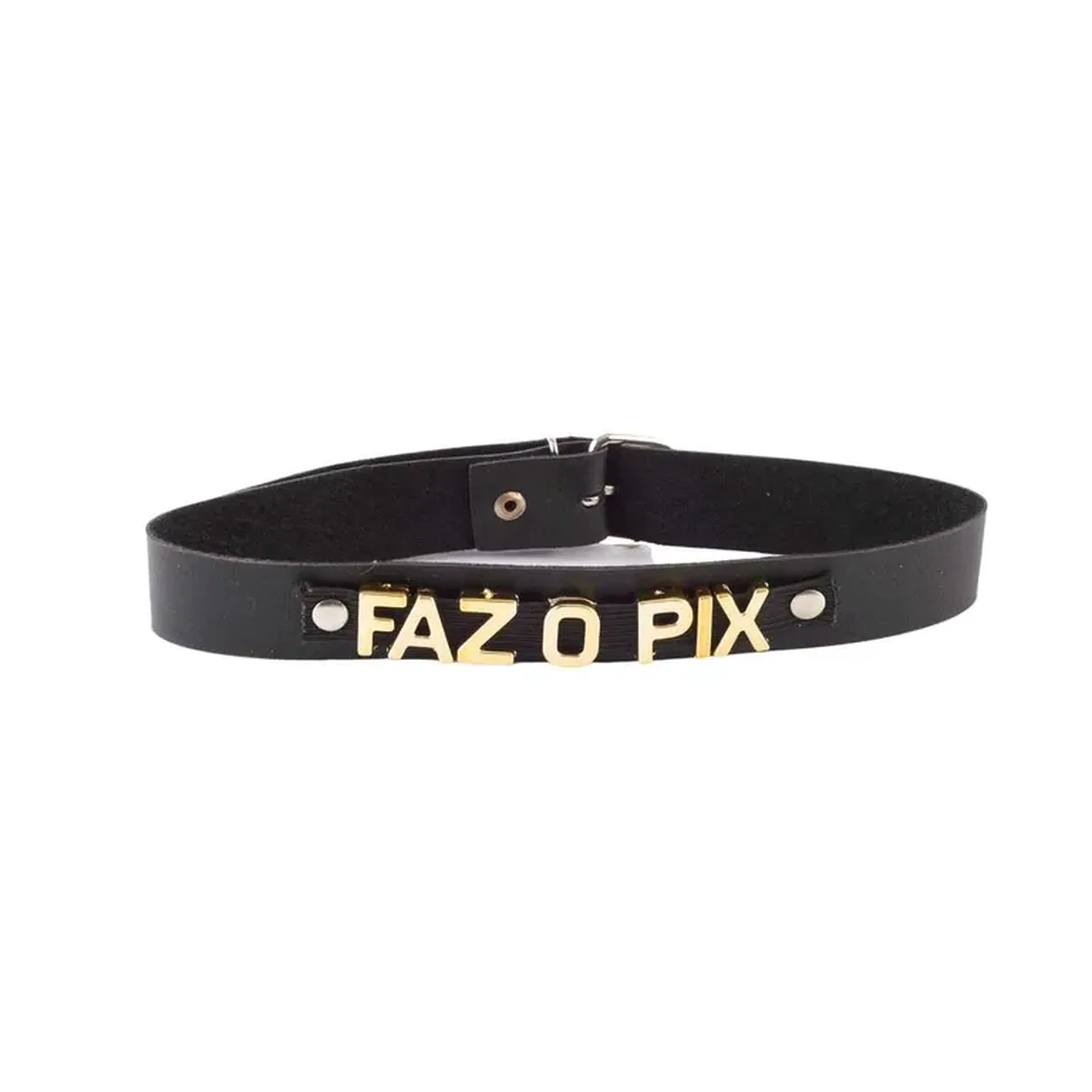 Coleira de Luxo Personalizada imagem
