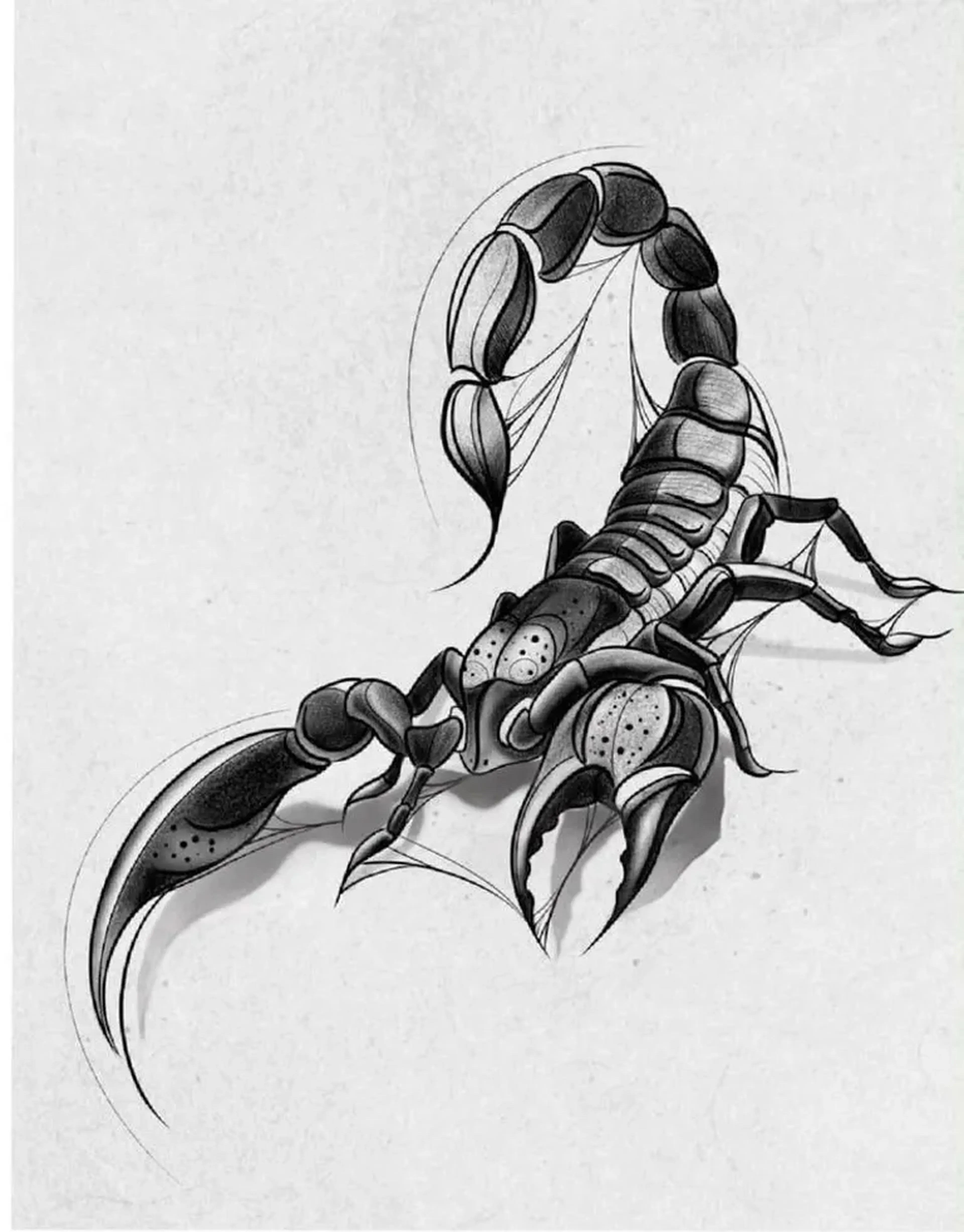 Escorpião - (Valor Promocional) - Leia a descrição imagem
