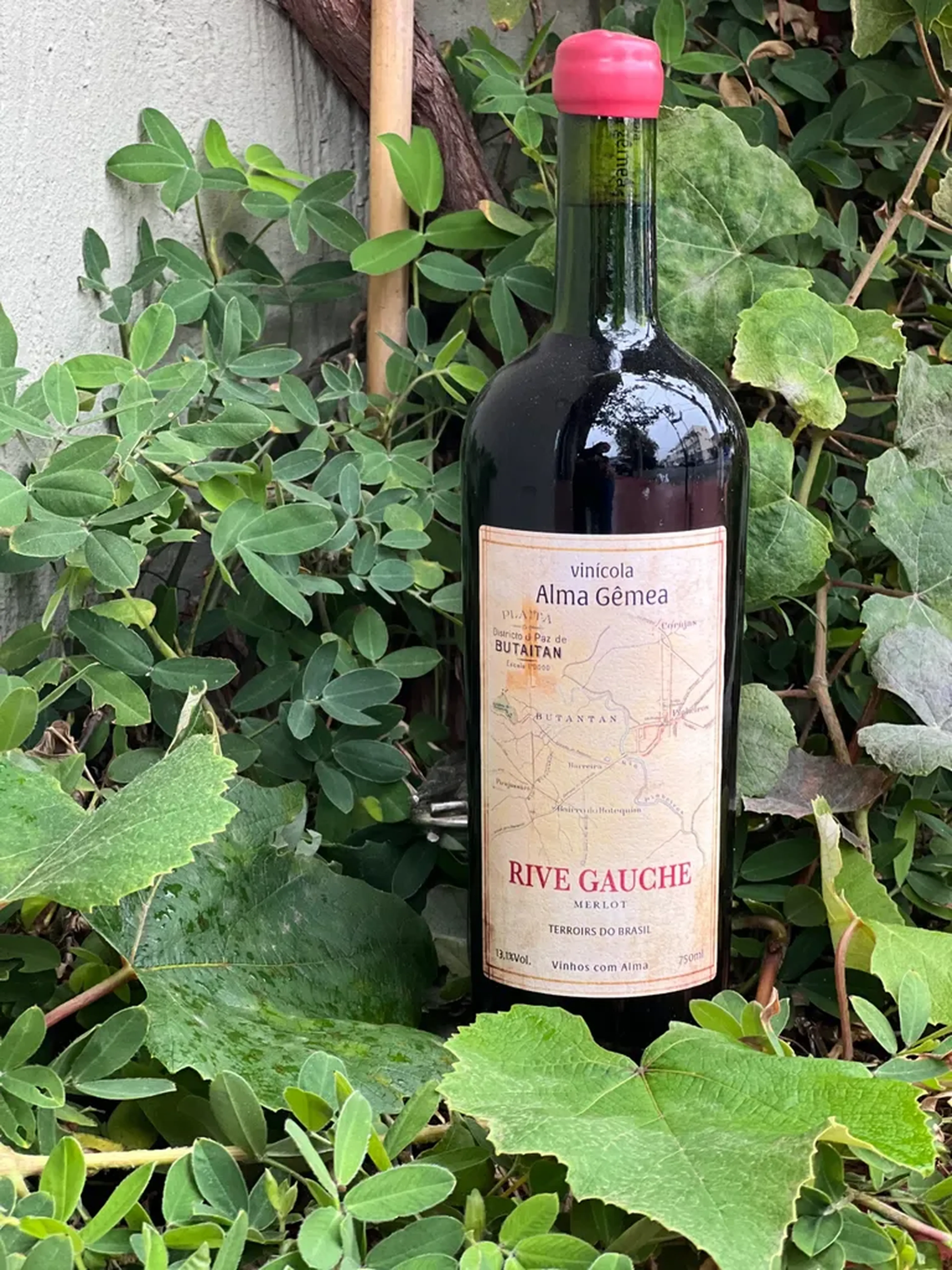 Rive Gauche Merlot imagem