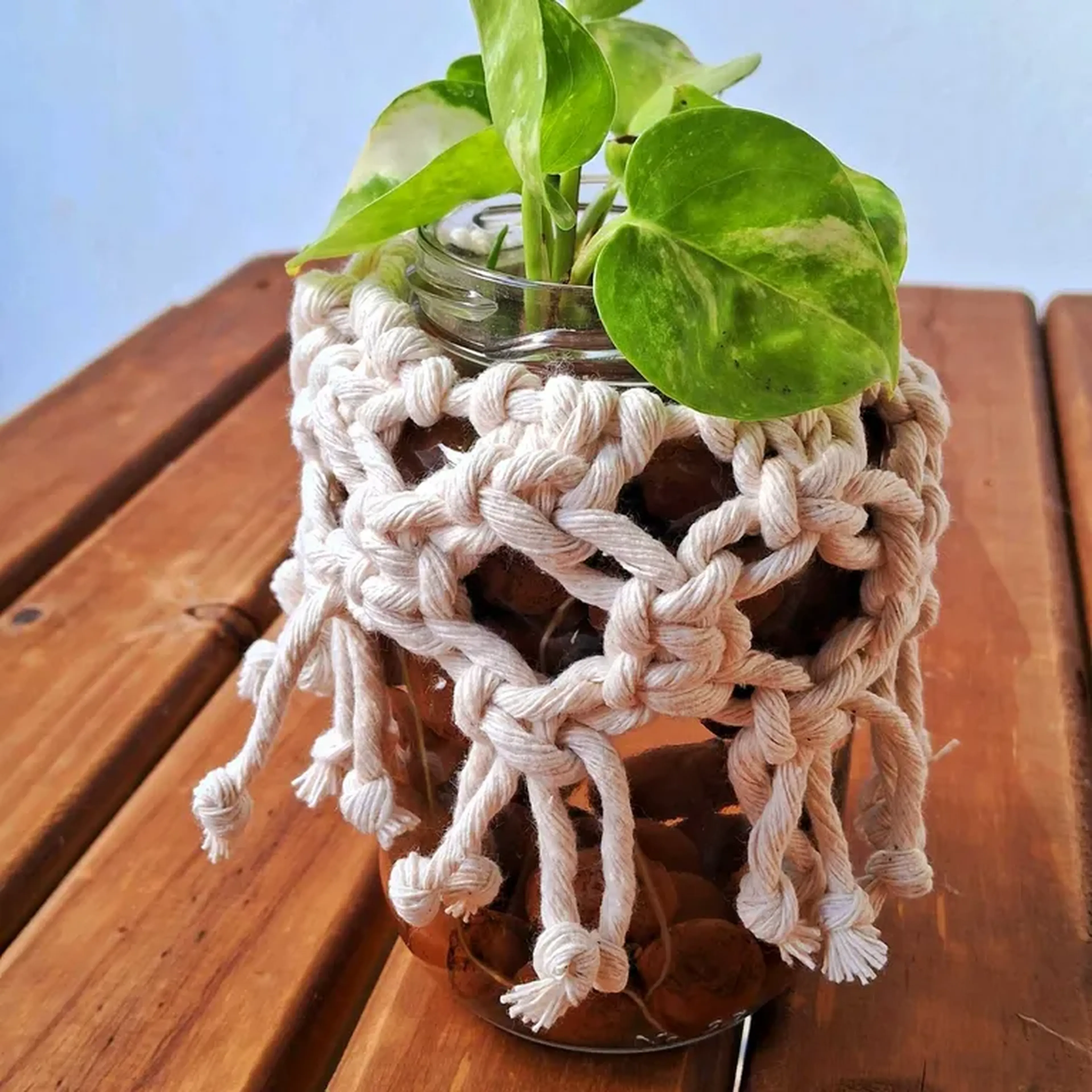 Manta de vaso imagem