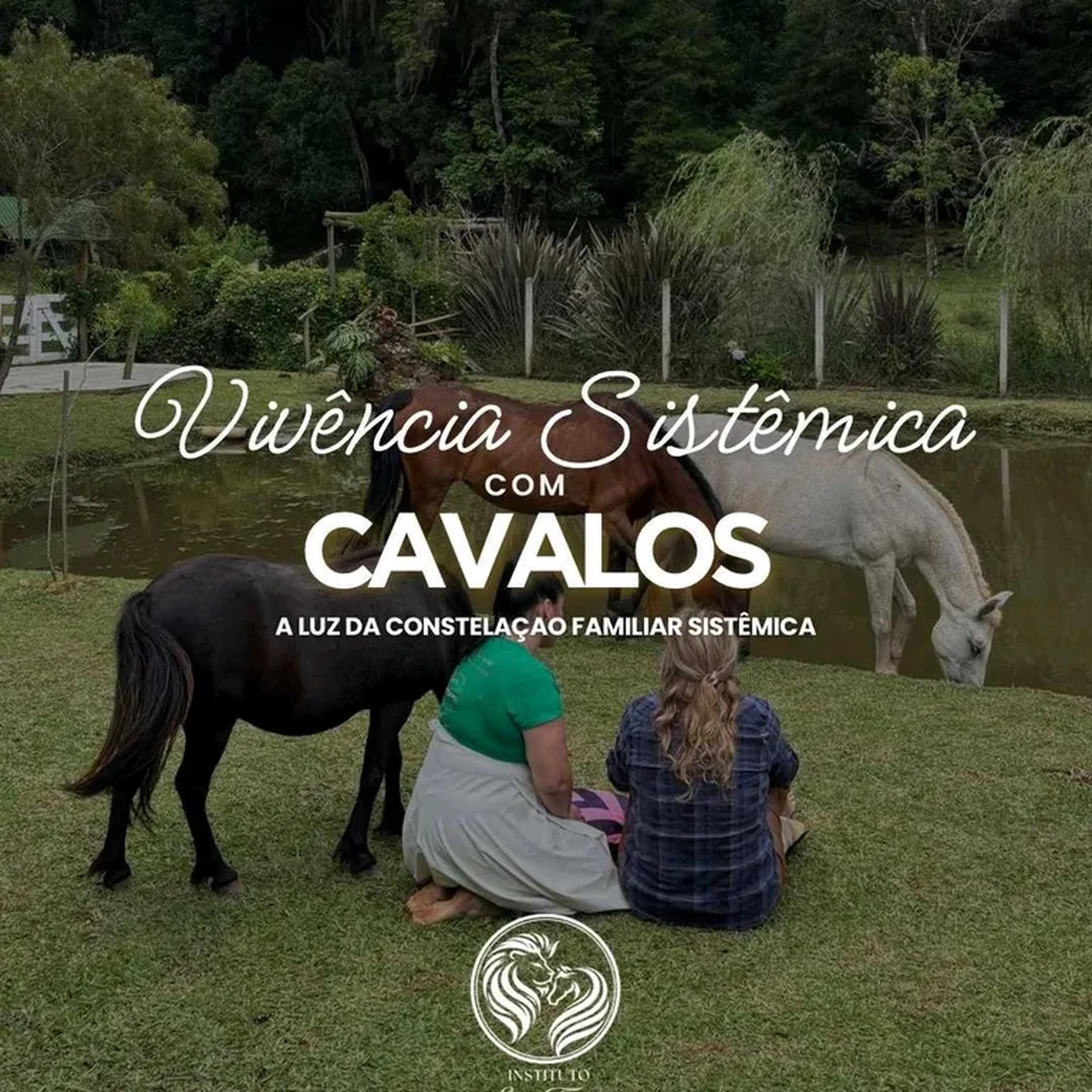Vivência Sistemica com Cavalos imagem