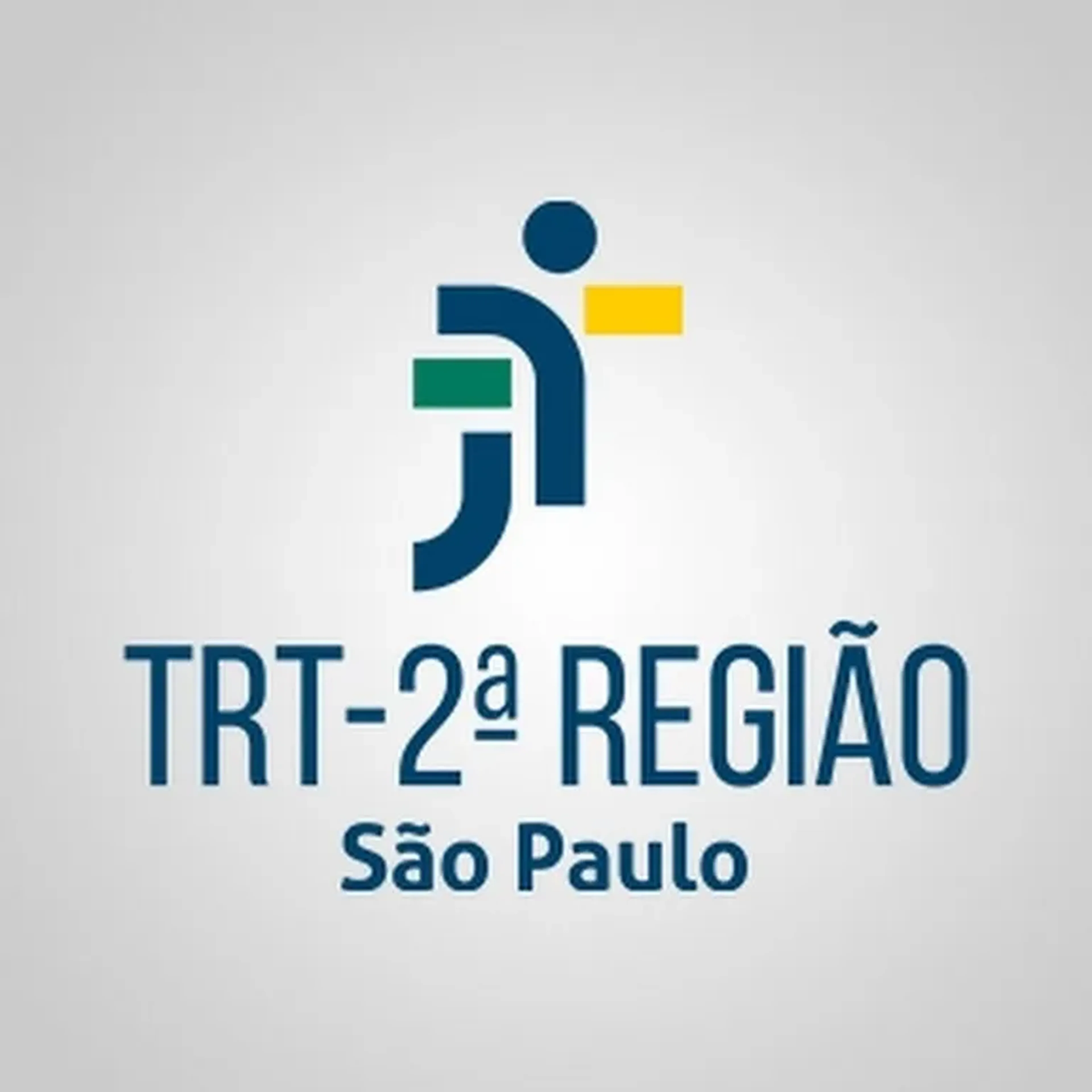 Recursos TRT2 - Discursiva na Prática imagem
