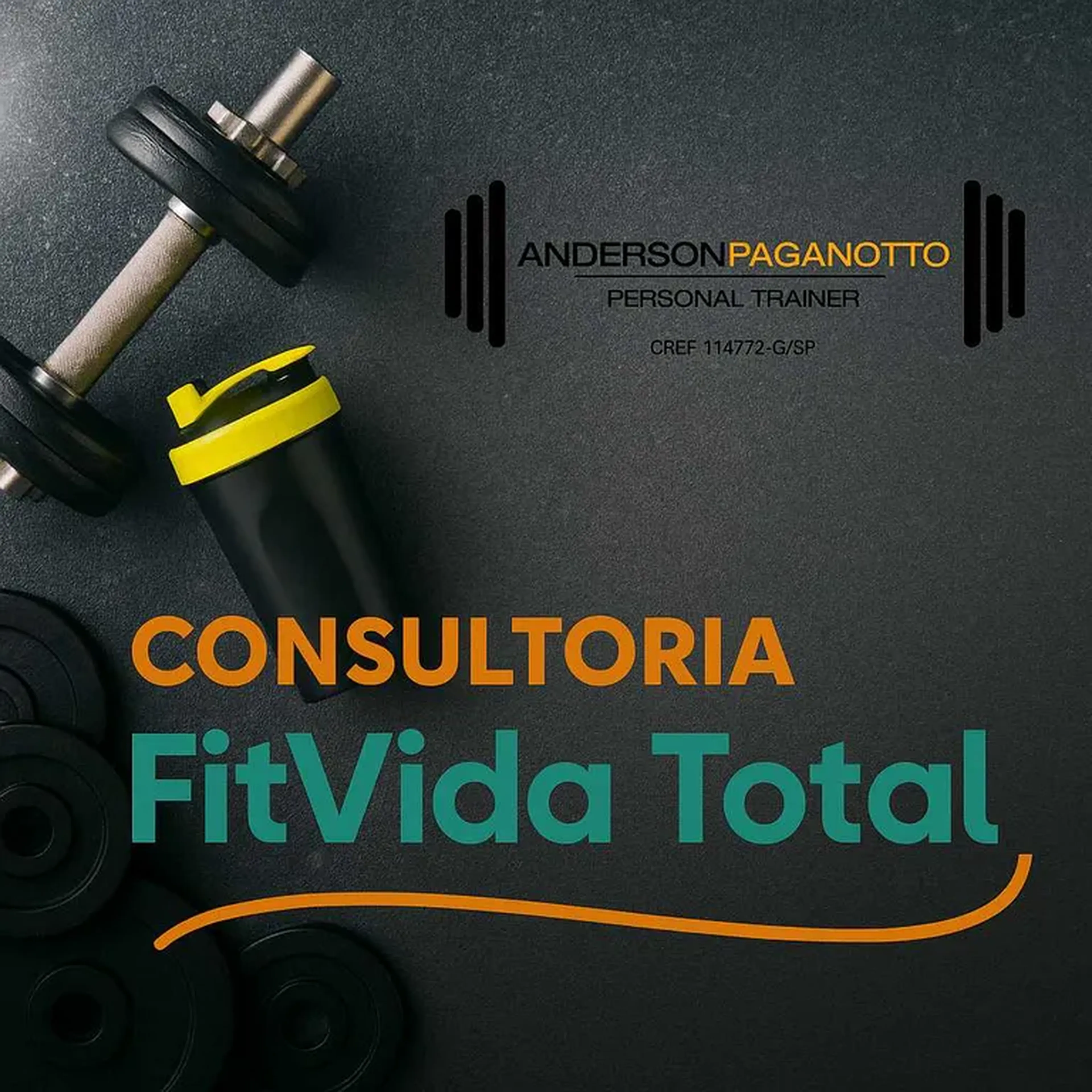 Consultoria online - mensal imagem