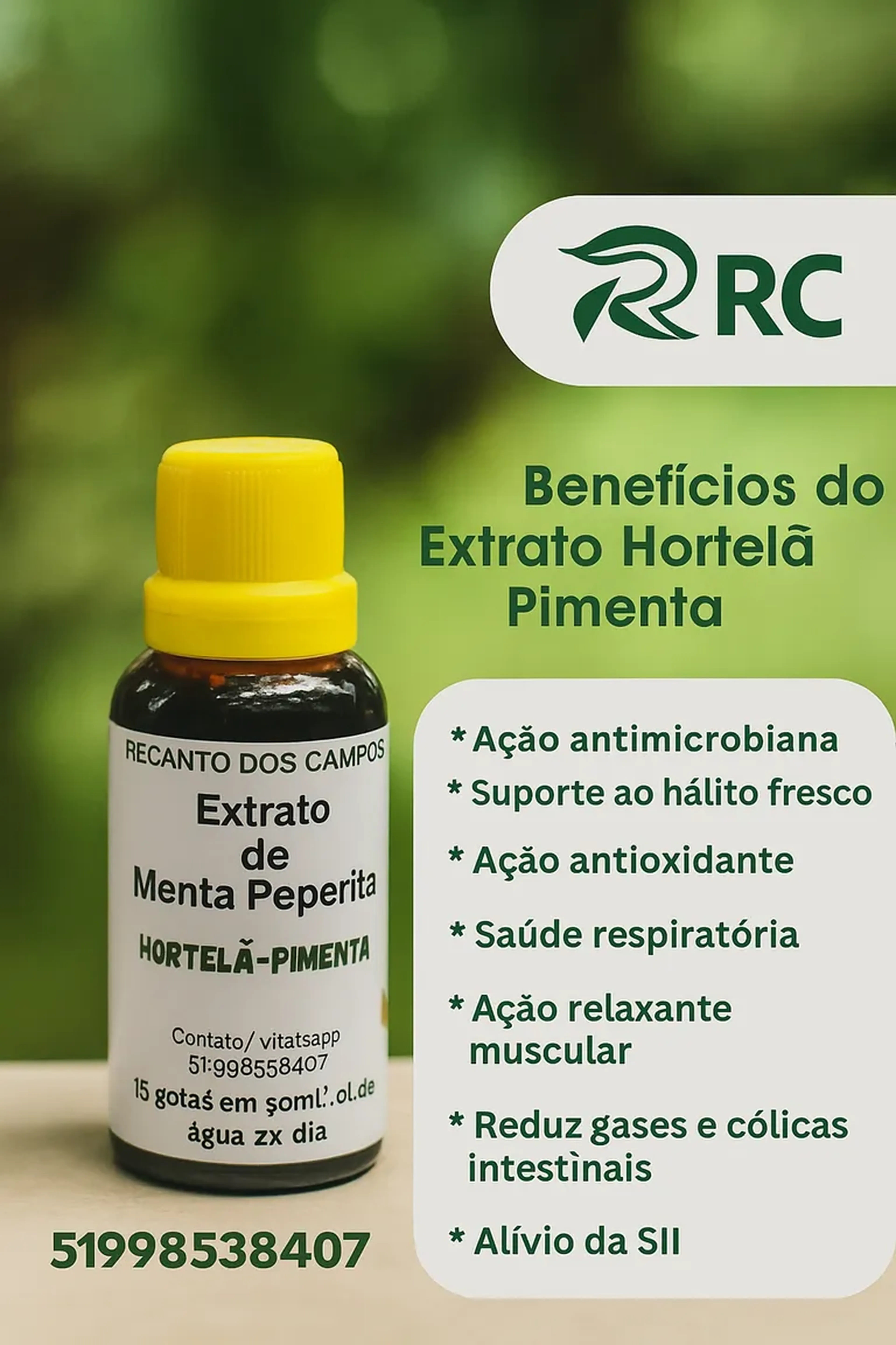 Extrato de Hortelã imagem