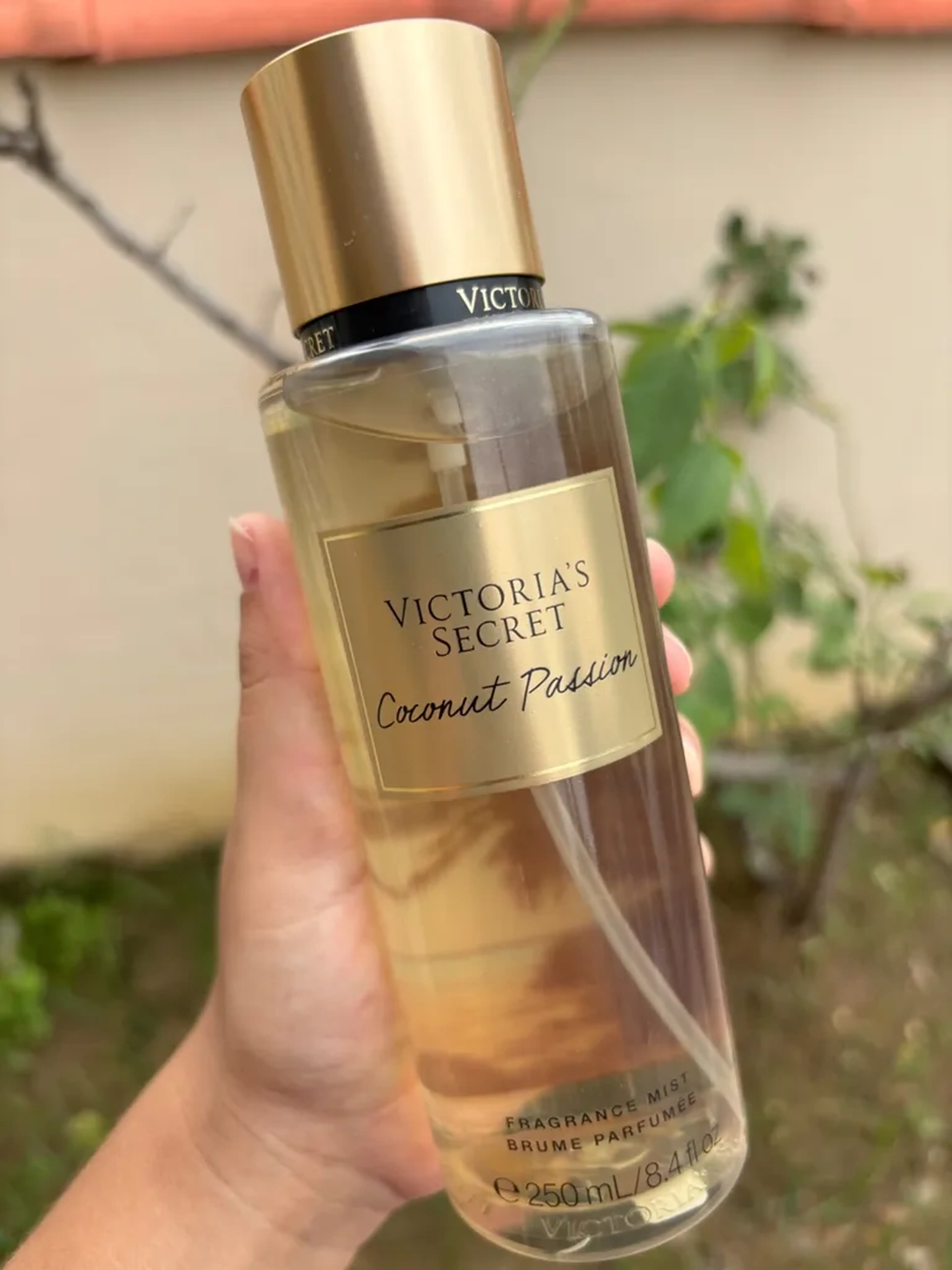 Body Splash Victoria’s Secrets Coconut Passion Shimmer imagem