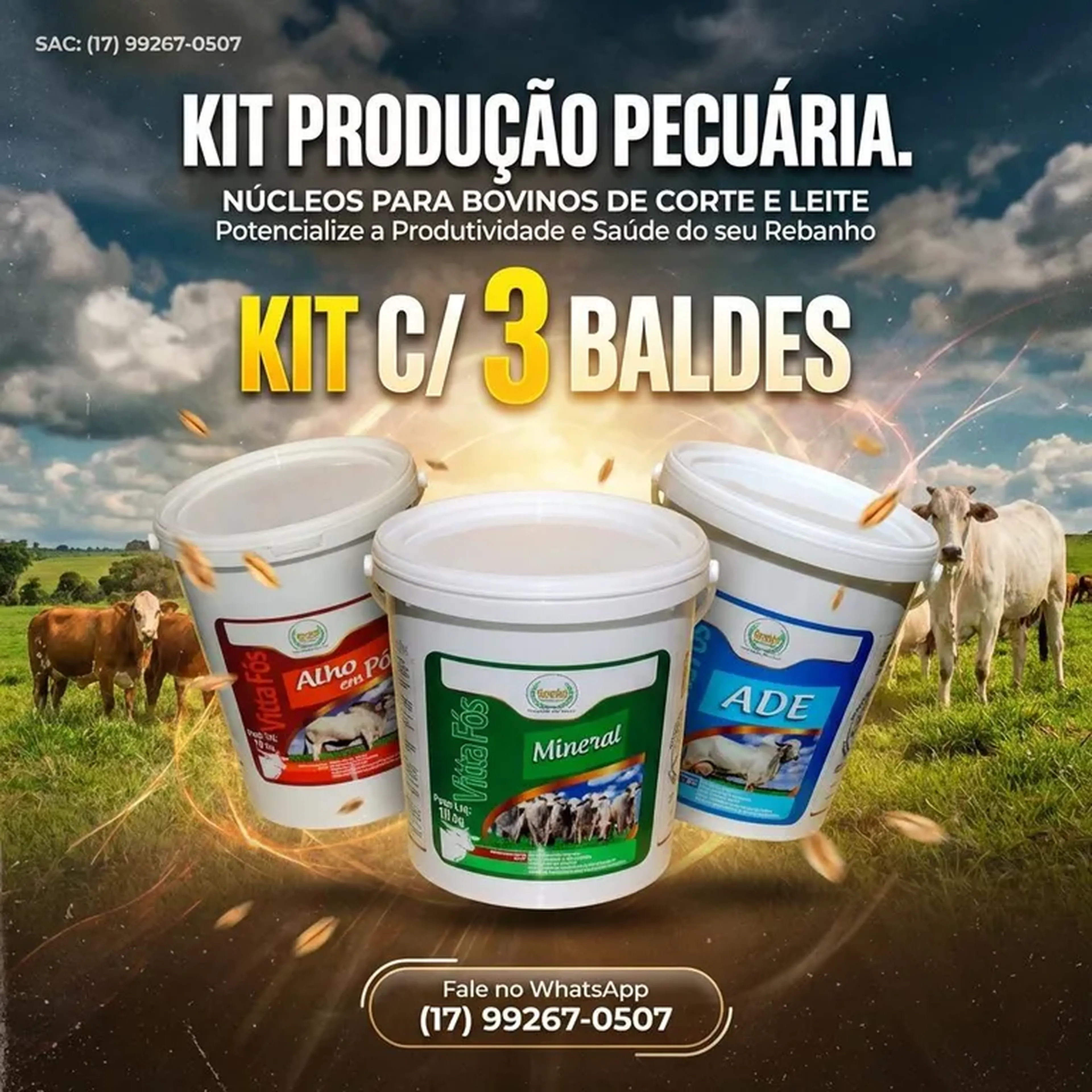 KIT PRODUÇÃO PECUÁRIA - KIT C 3 BALDES. imagem