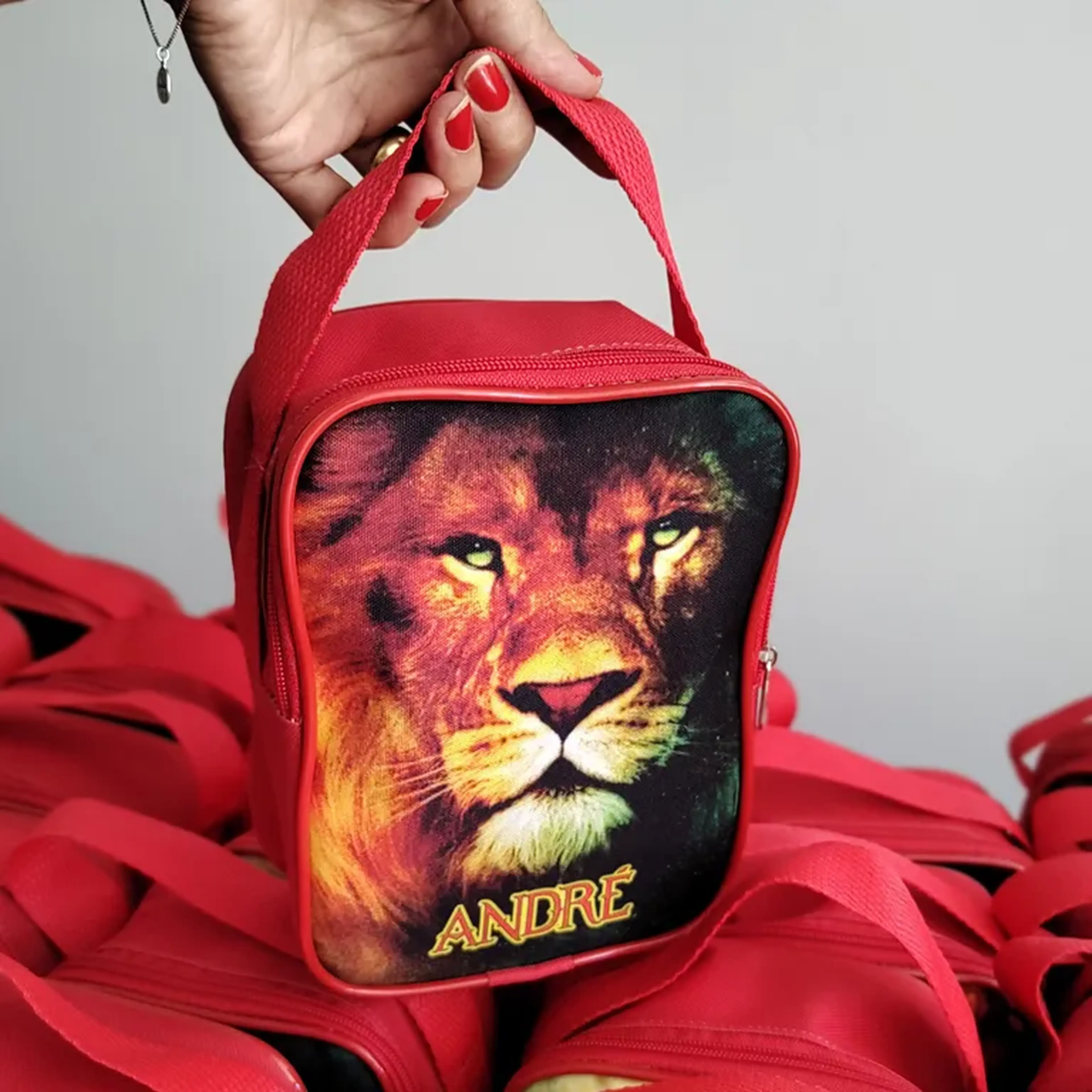 BOLSA FRASQUEIRA imagem