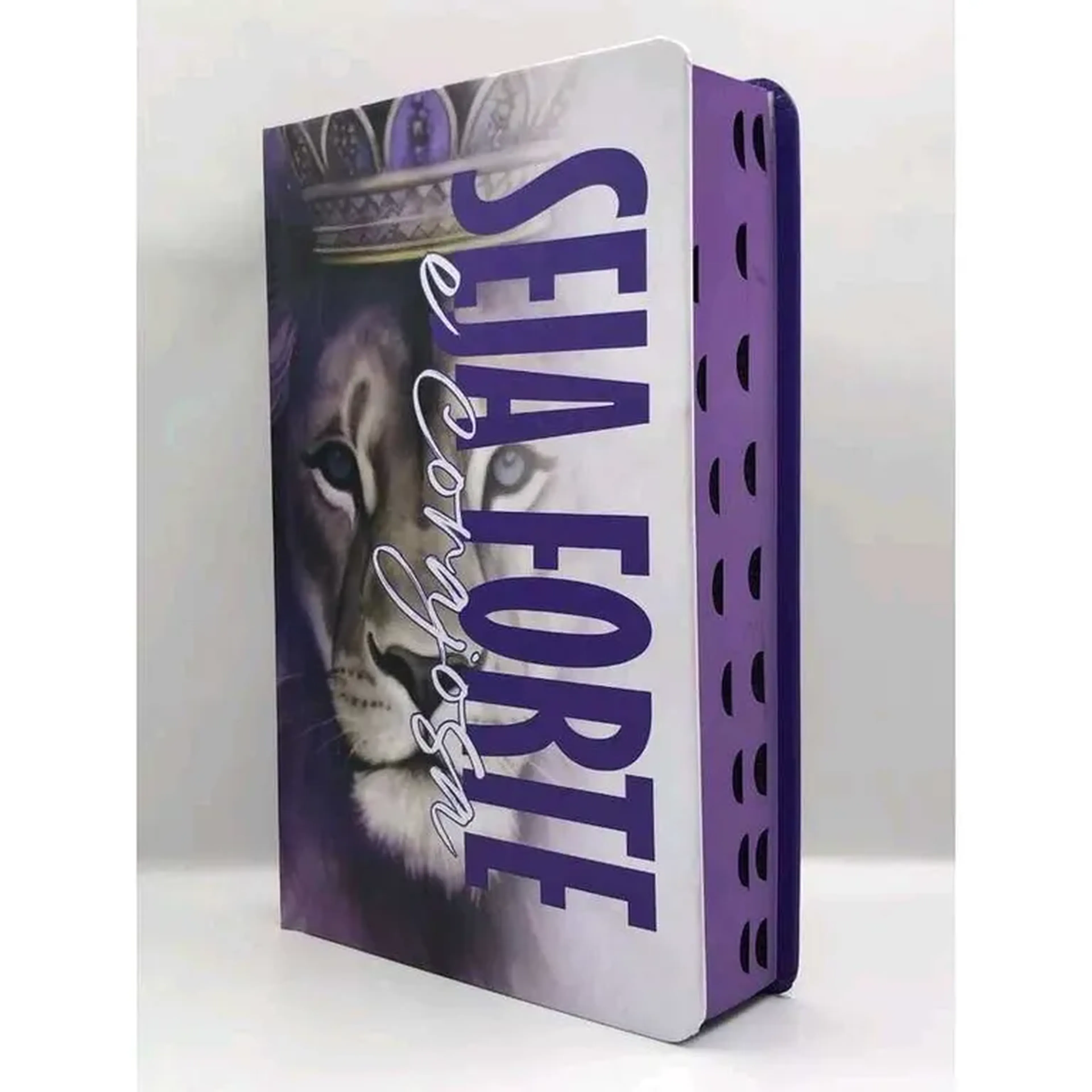 Biblia seja forte e corajosa imagem