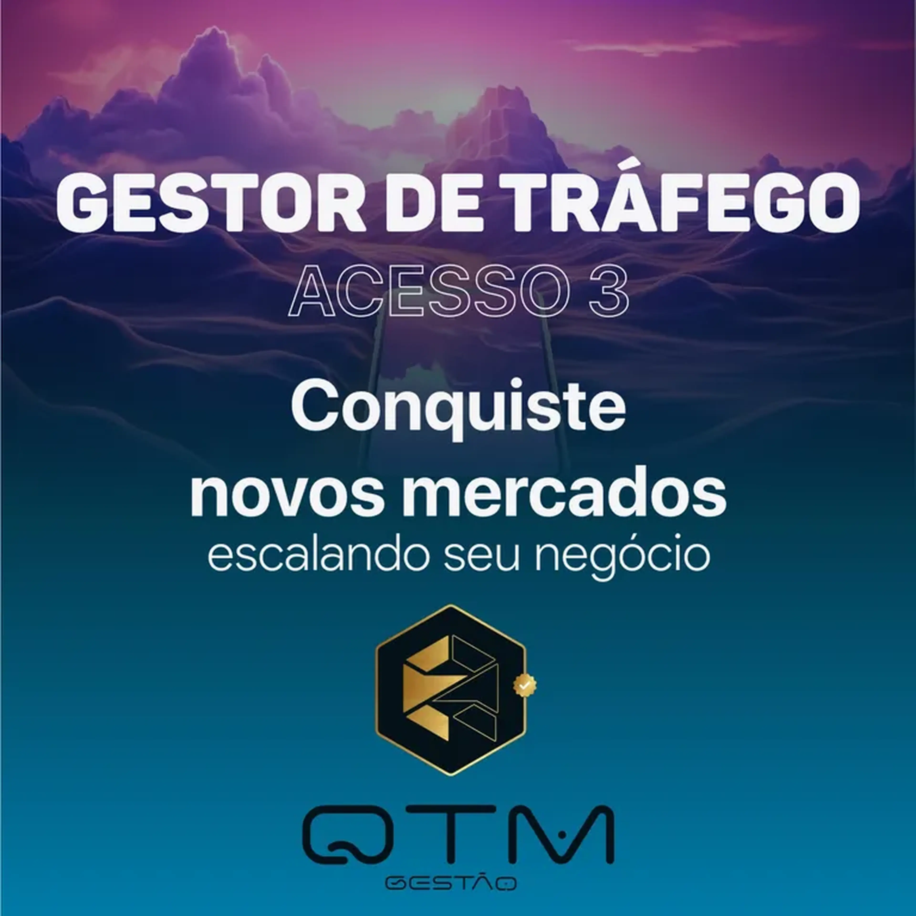 Tráfego Pago - Conquiste novos mercados - Acesso 3 imagem