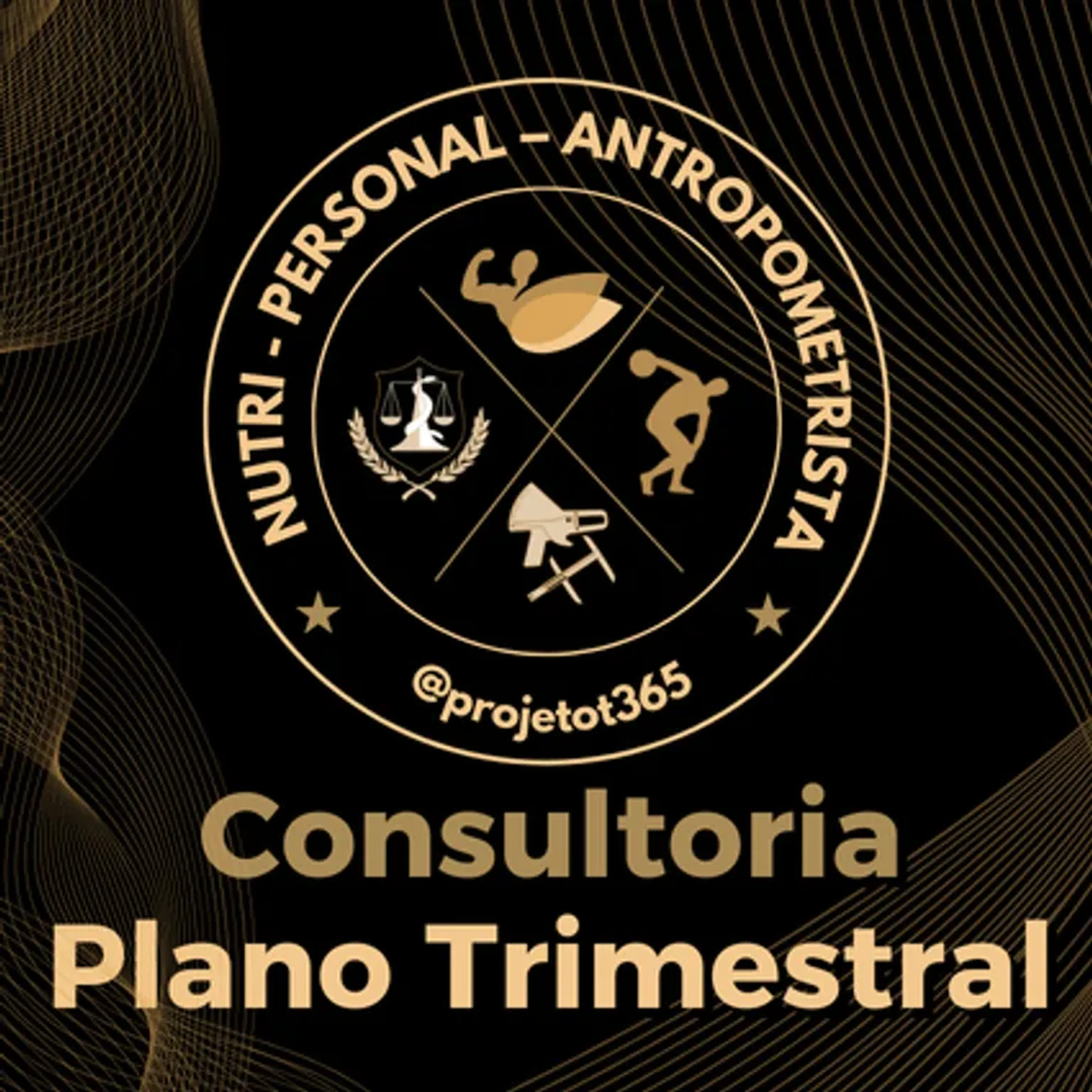 Consultoria - Plano Trimestral imagem