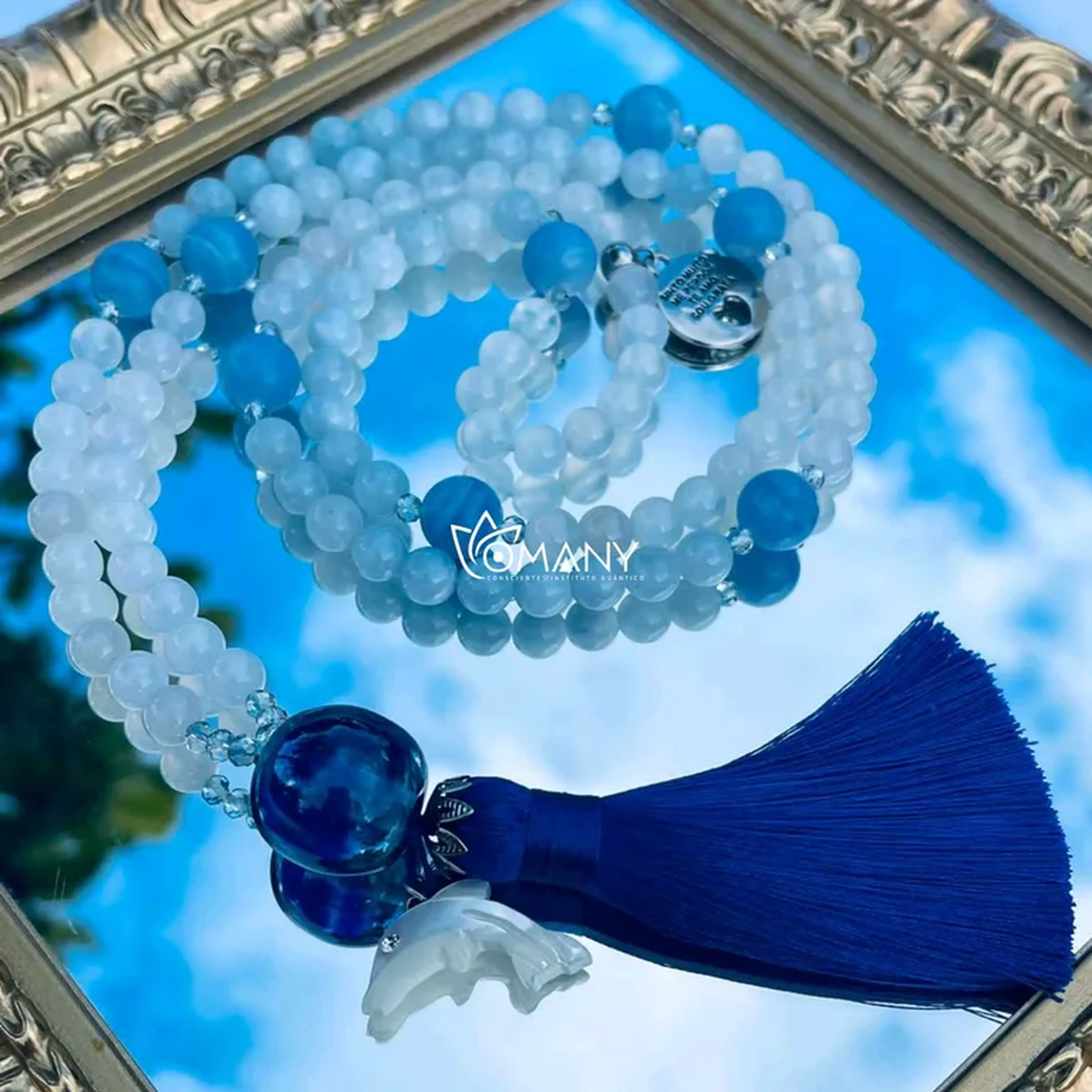 Jamapala na Energia do Golfinho 1 imagem