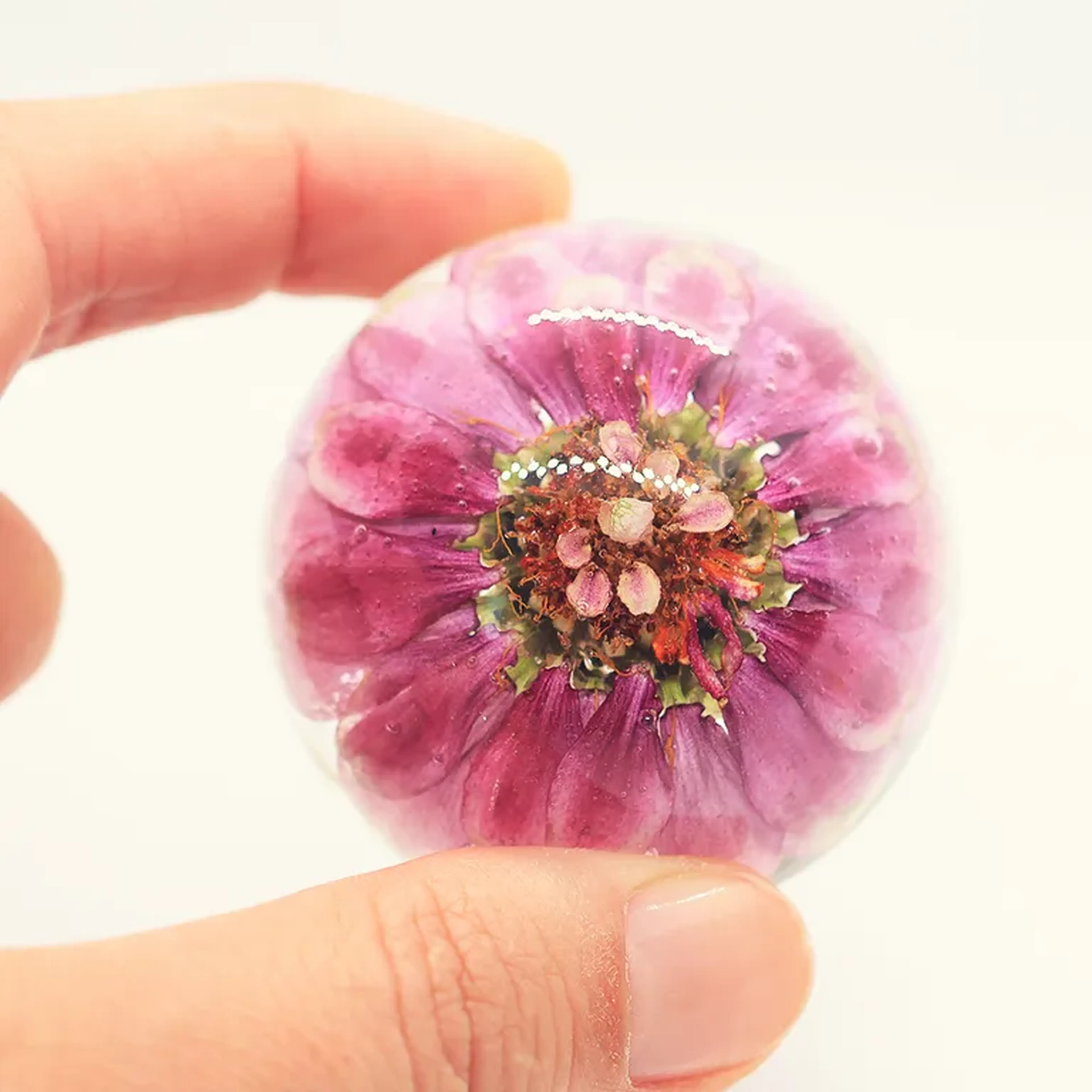 Domo M - Zínia imagem