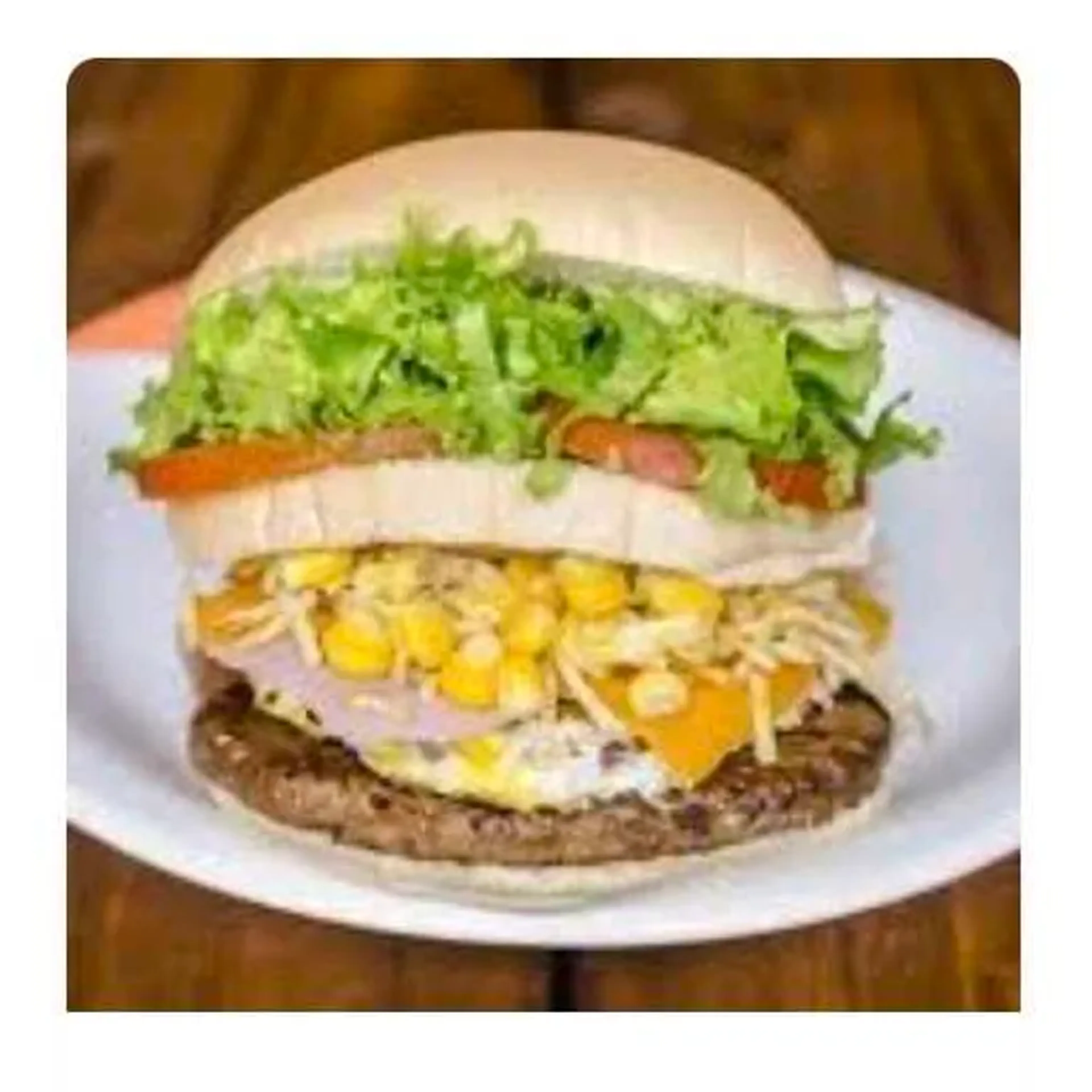 X Salada Especial imagem