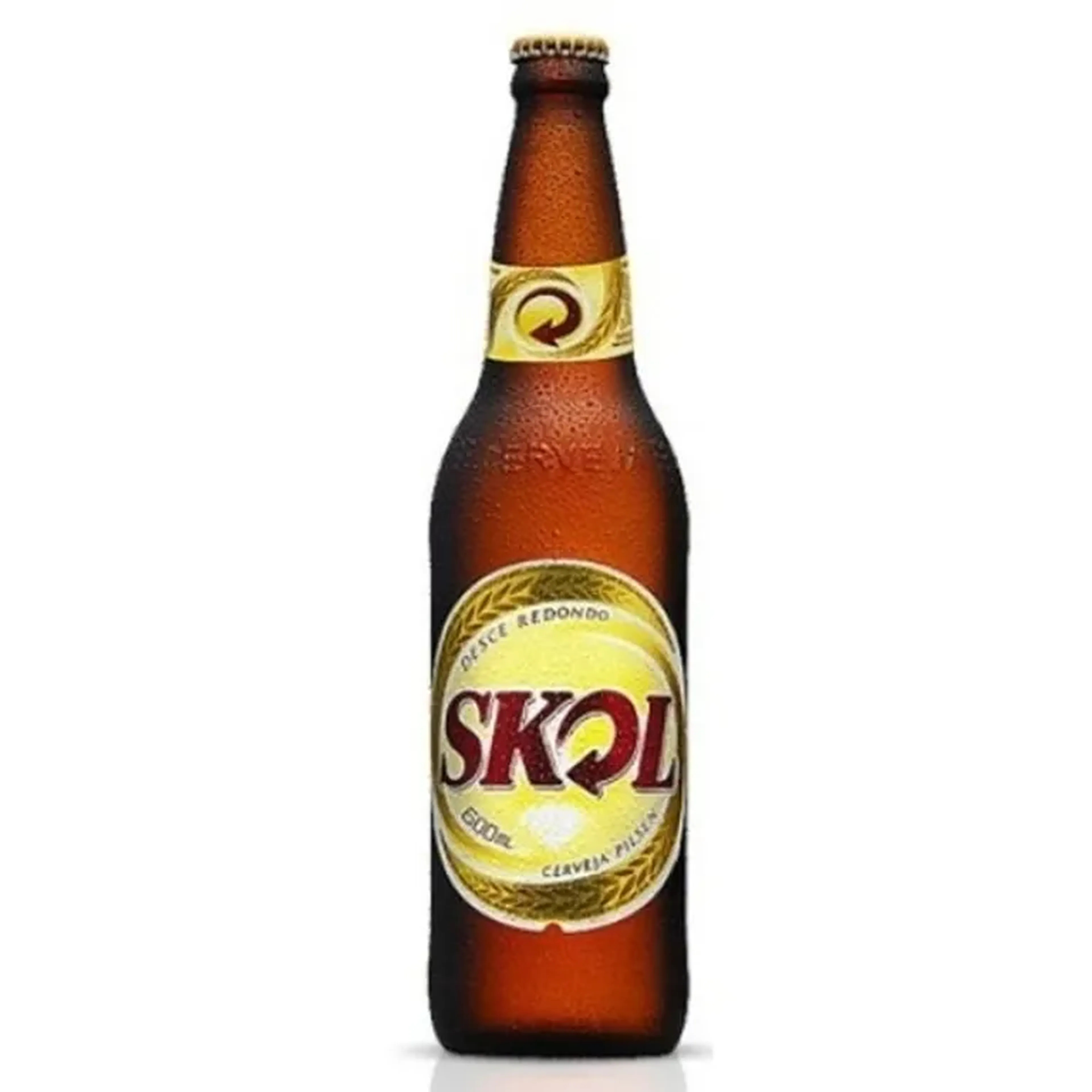 Cerveja Skol 600 ml gelada imagem