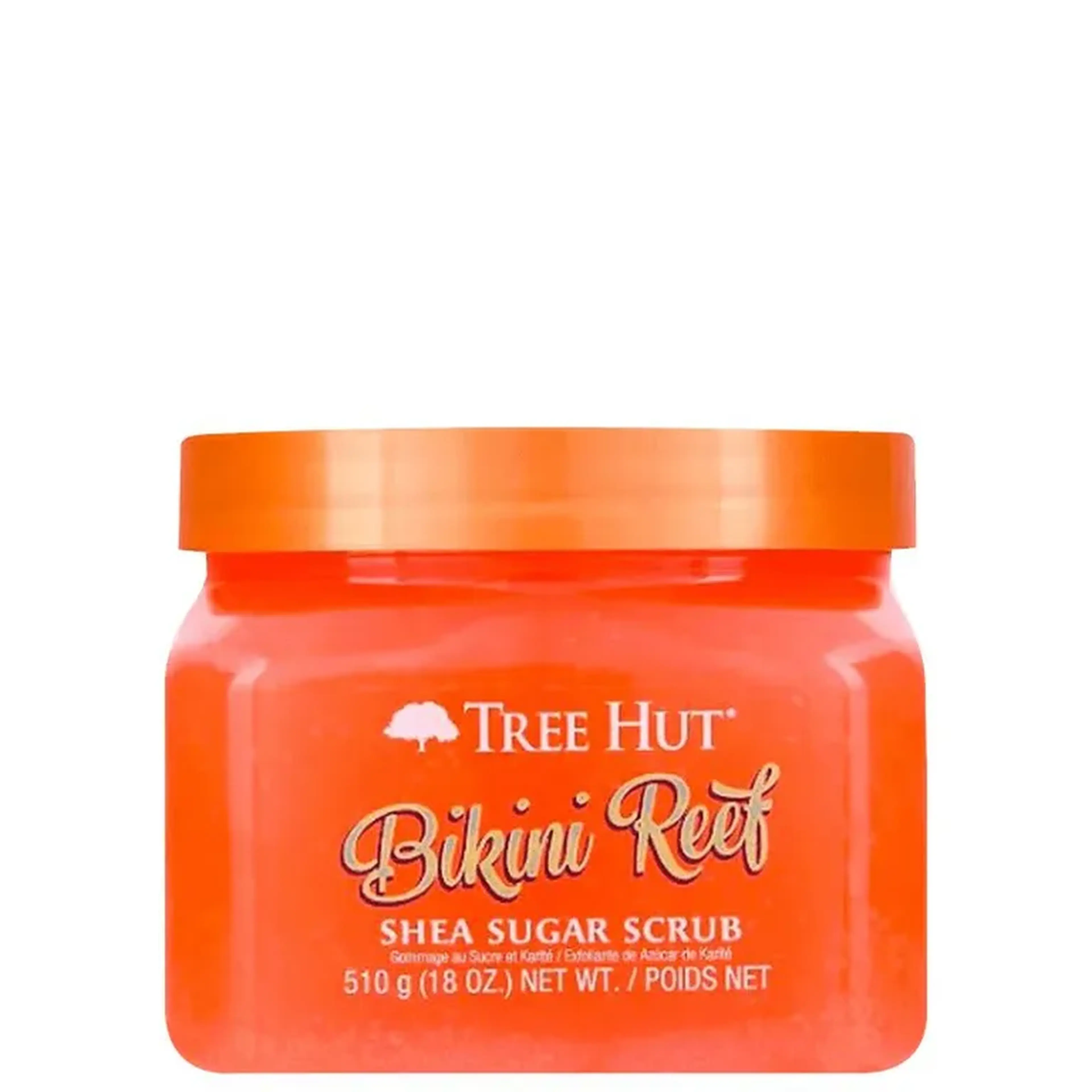Bikini reef esfoliante imagem