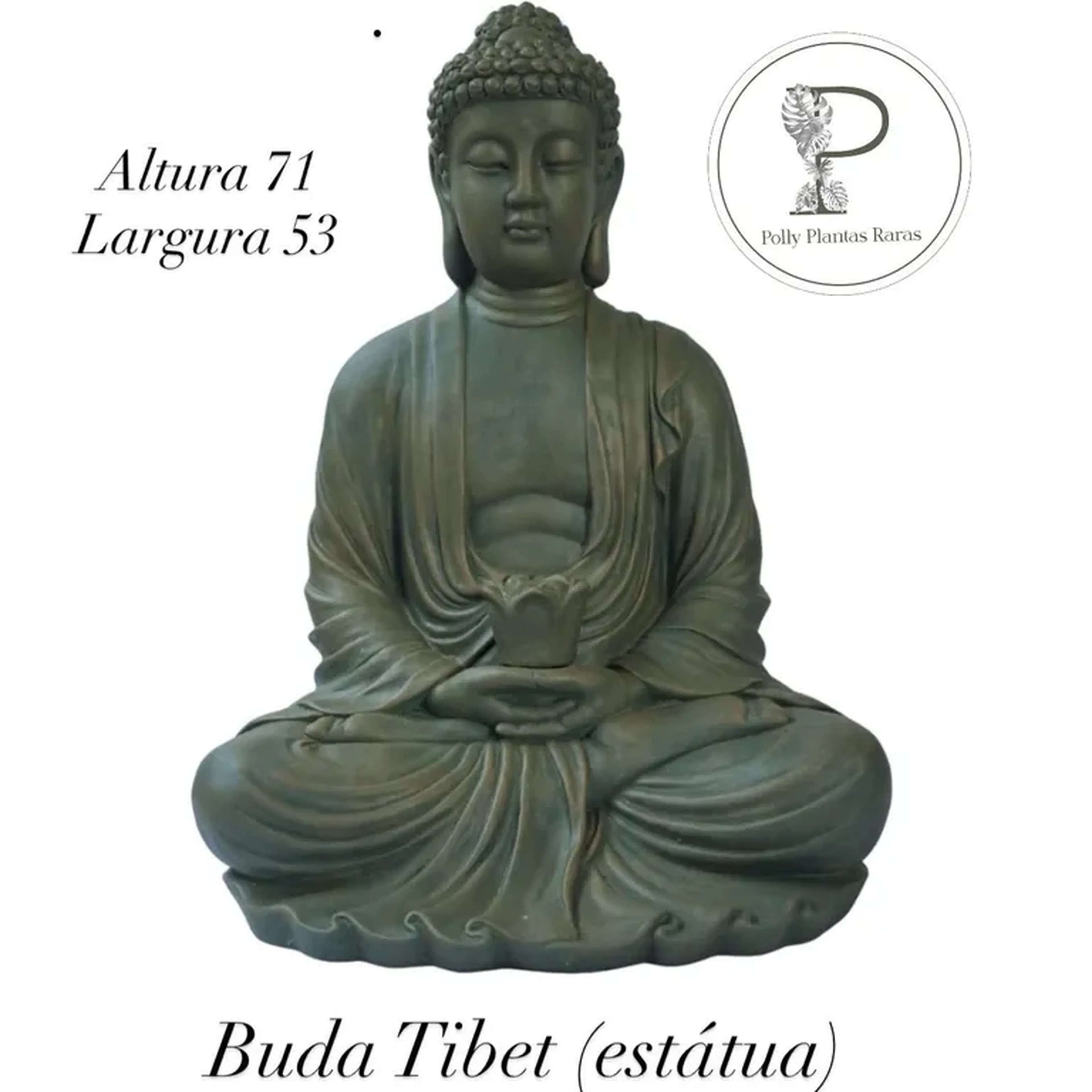 Estátua Buda tibet imagem