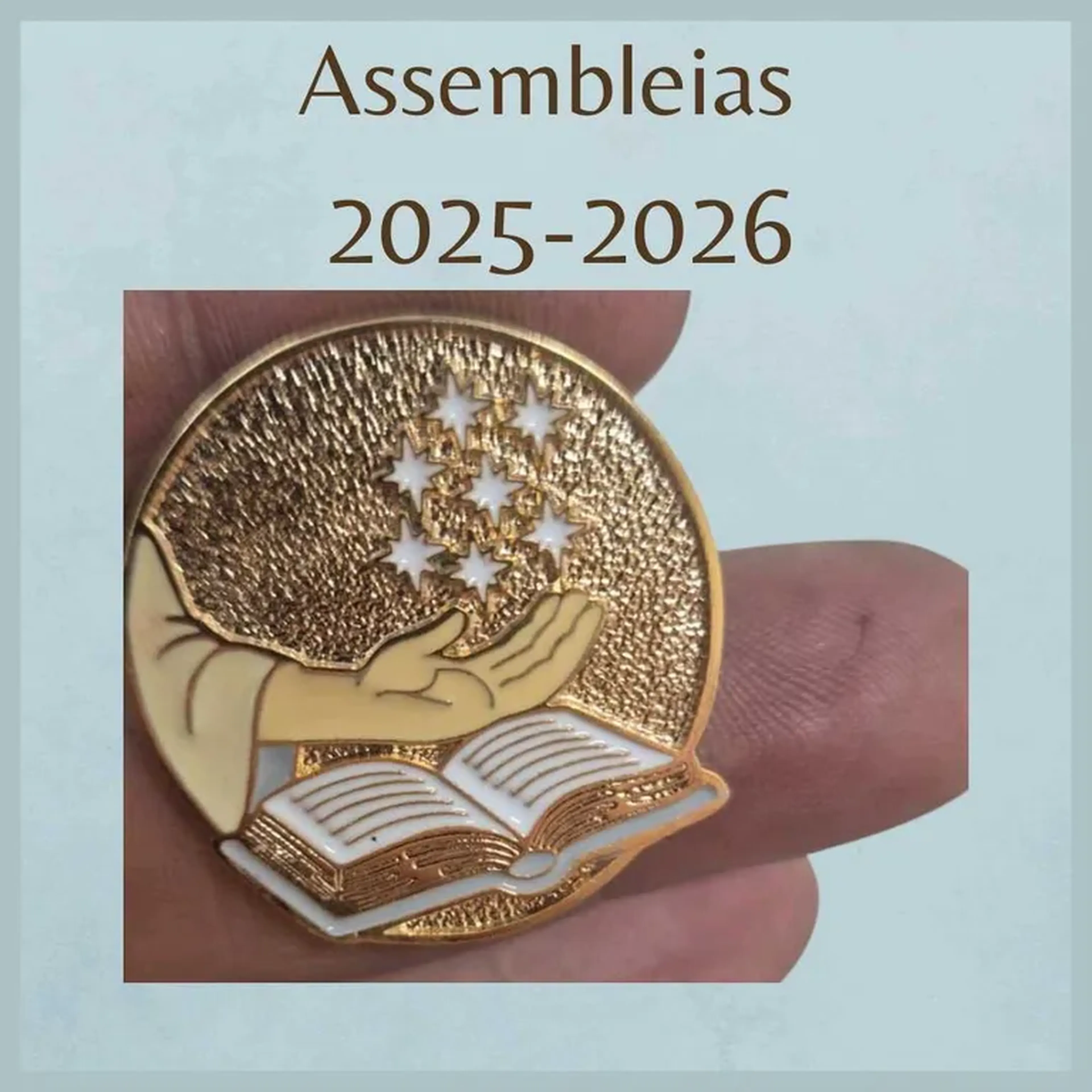Pin - Assembleia 2025 2026 imagem