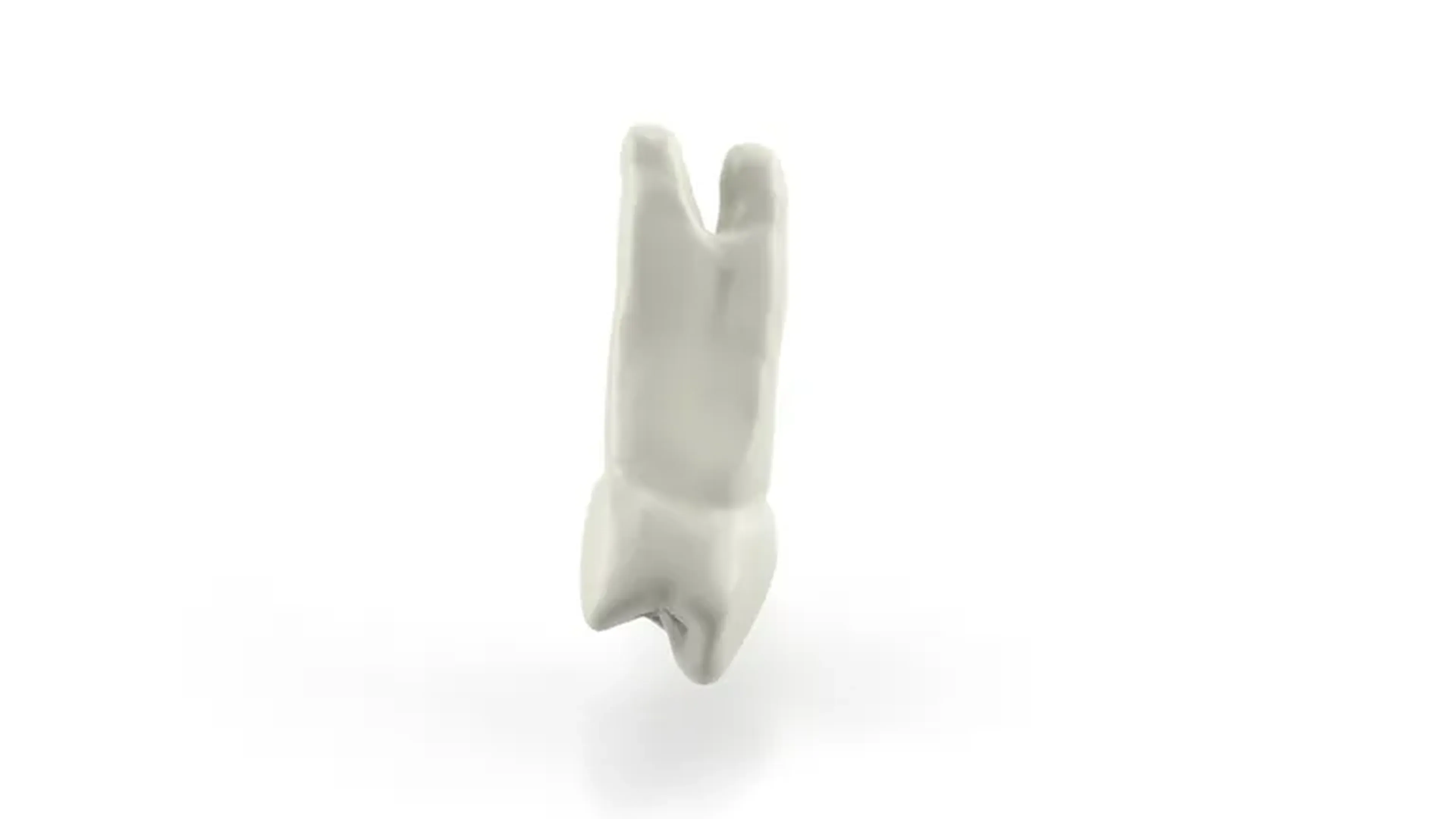 Pré-molar SUPERIOR V1.0 imagem