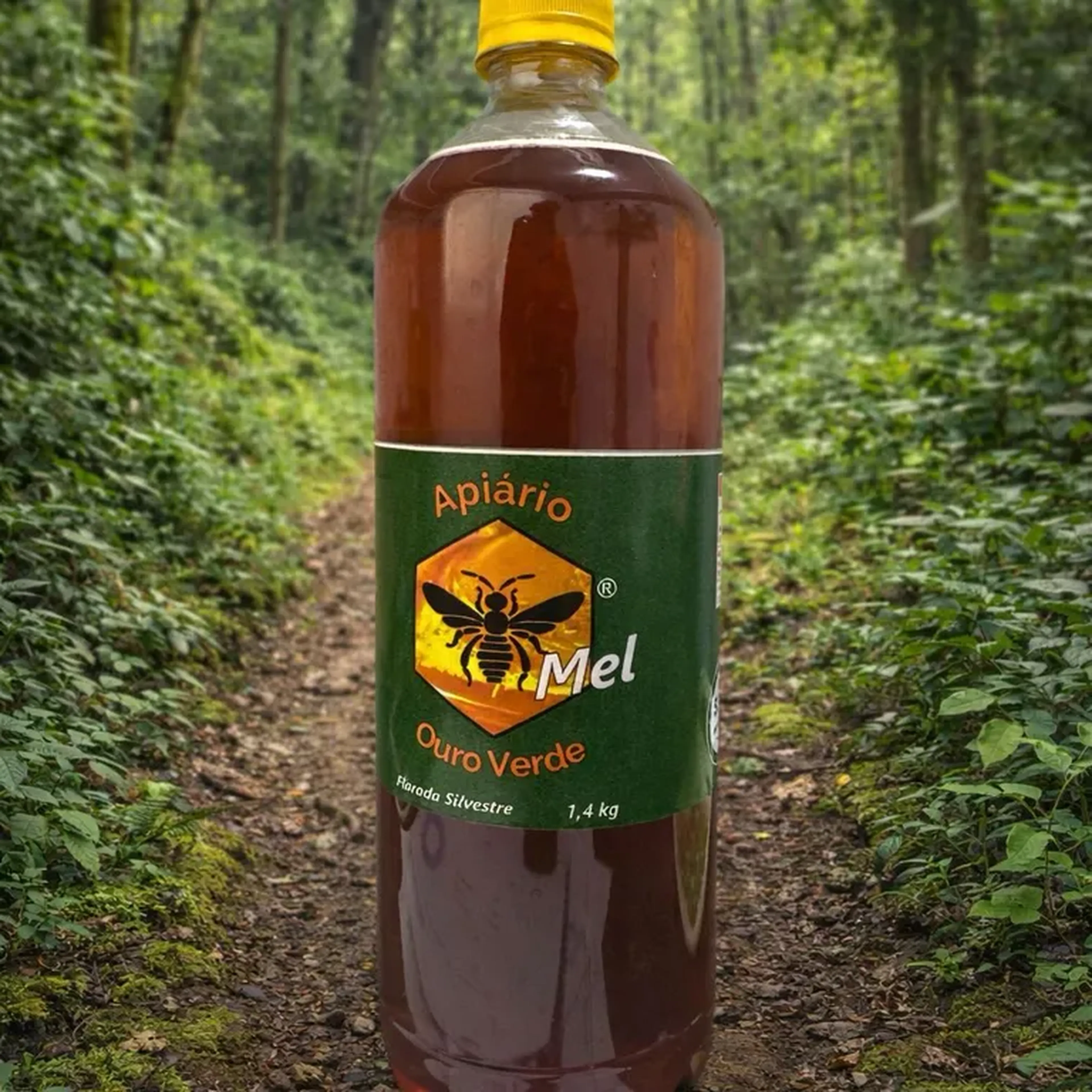 Mel de abelha italiana 1.400g imagem