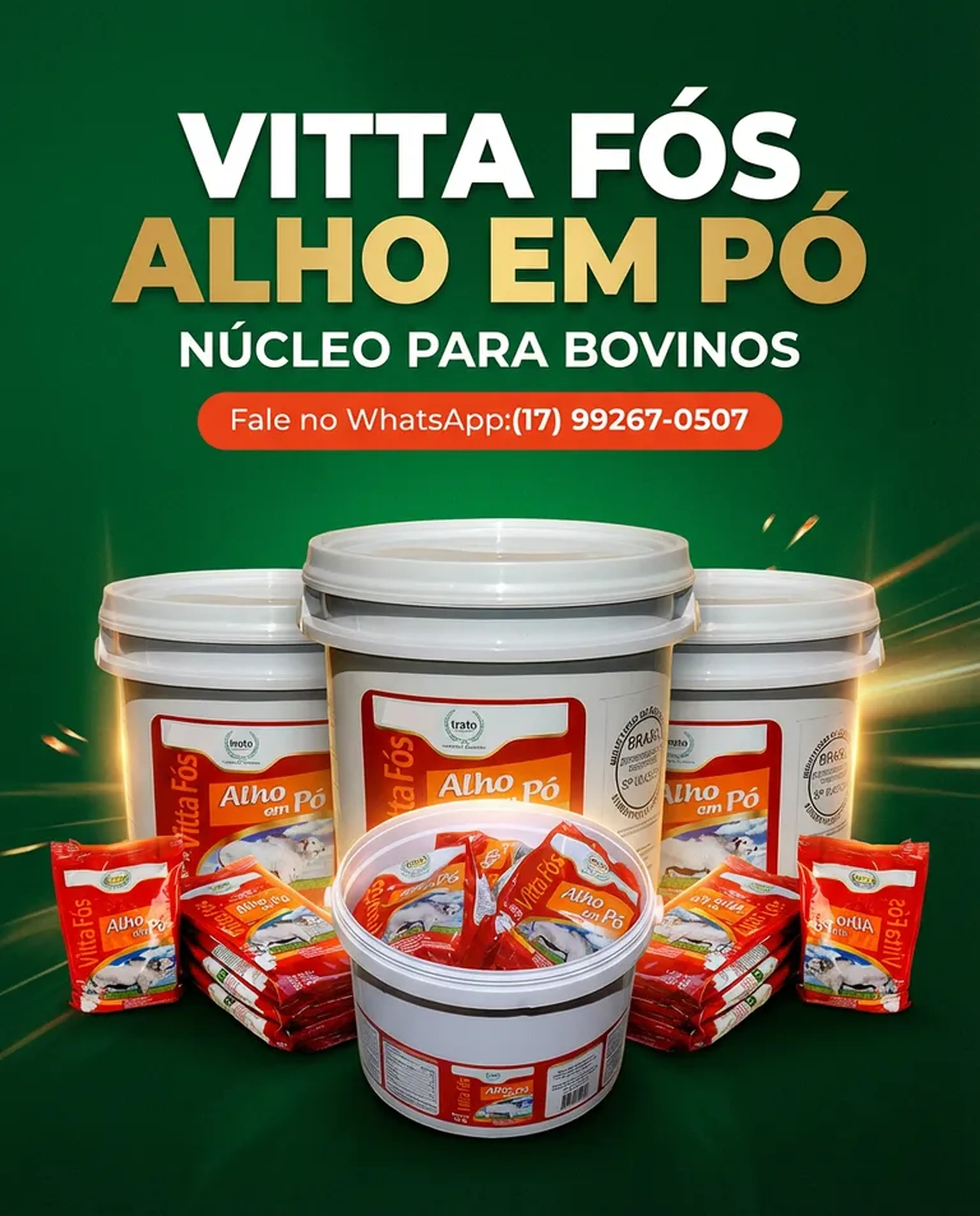 VITTA FÓS ALHO EM PÓ, NÚCLEO PARA BOVINOS. imagem